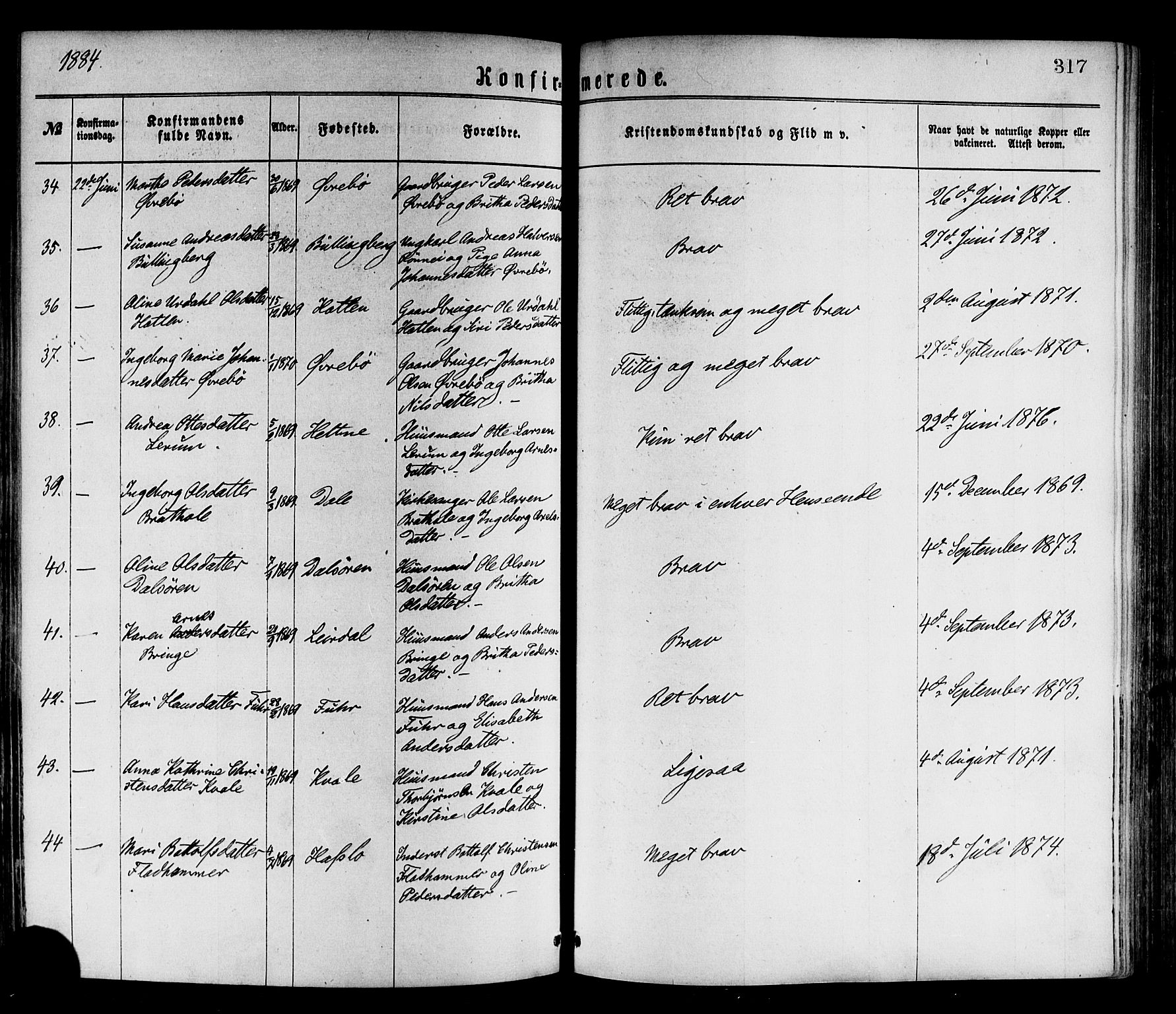 Luster sokneprestembete, AV/SAB-A-81101/H/Haa/Haaa/L0010: Parish register (official) no. A 10, 1871-1886, p. 317