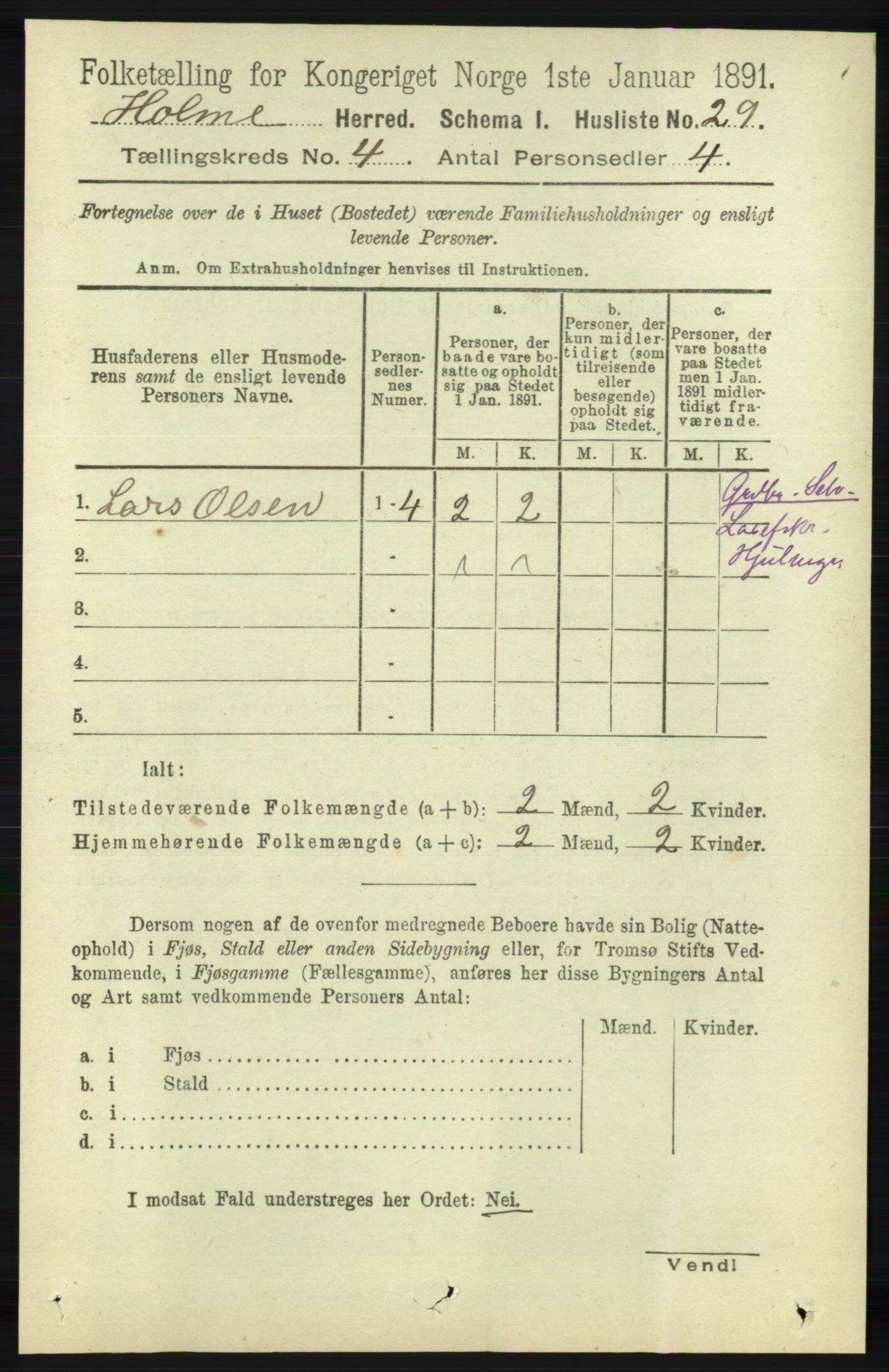 RA, 1891 census for 1020 Holum, 1891, p. 1029