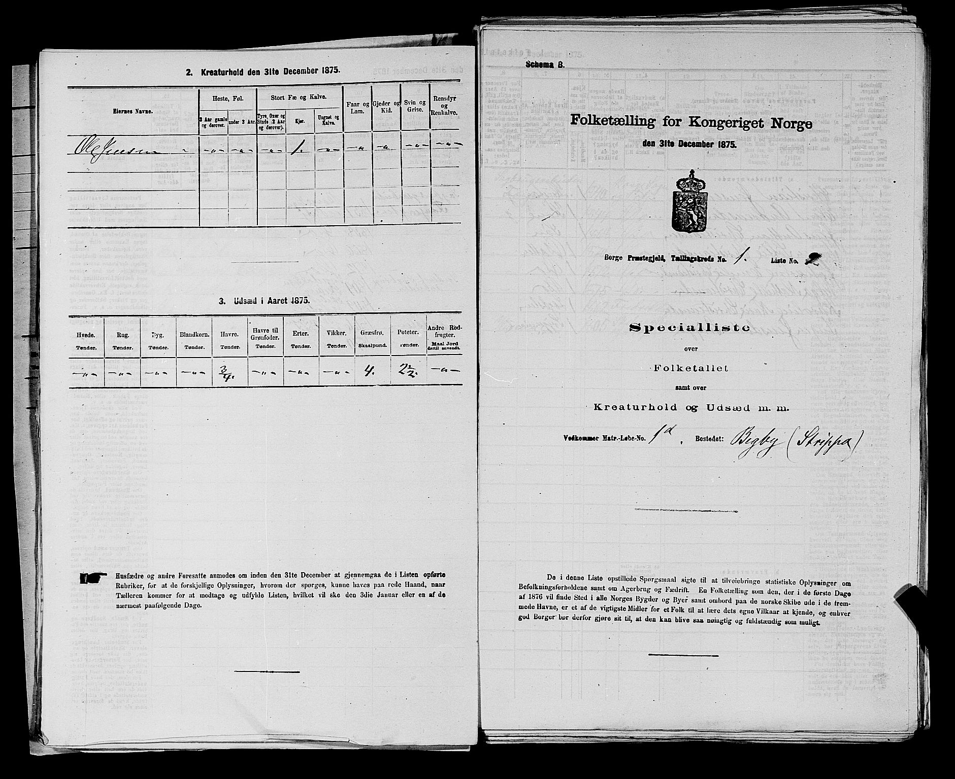 RA, 1875 census for 0113P Borge, 1875, p. 43
