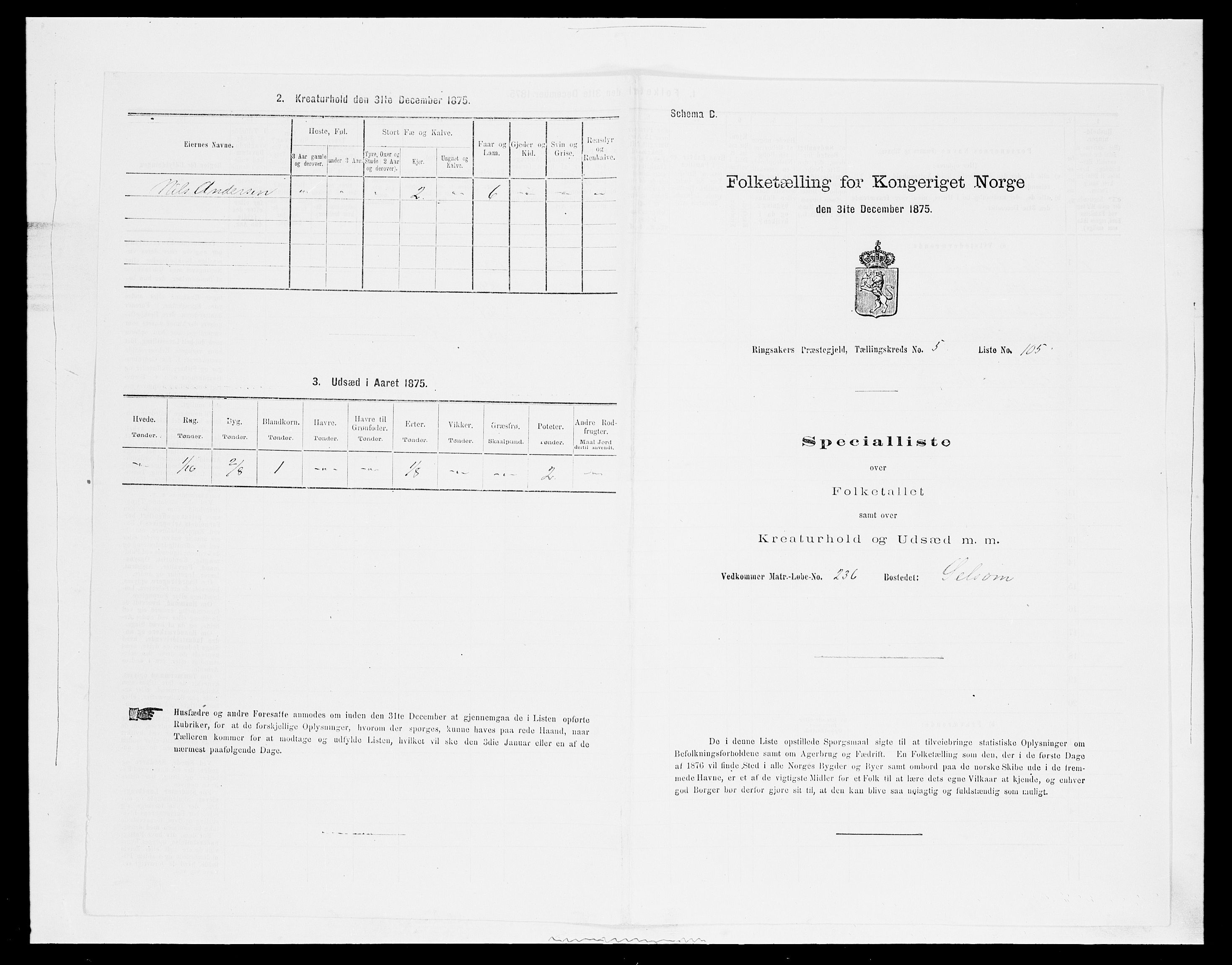 SAH, 1875 census for 0412P Ringsaker, 1875, p. 1139