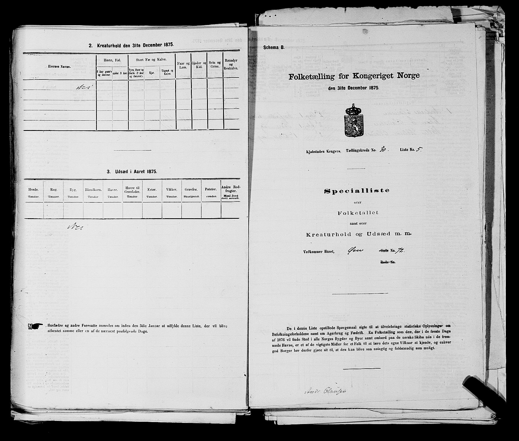 SAKO, 1875 census for 0801P Kragerø, 1875, p. 667