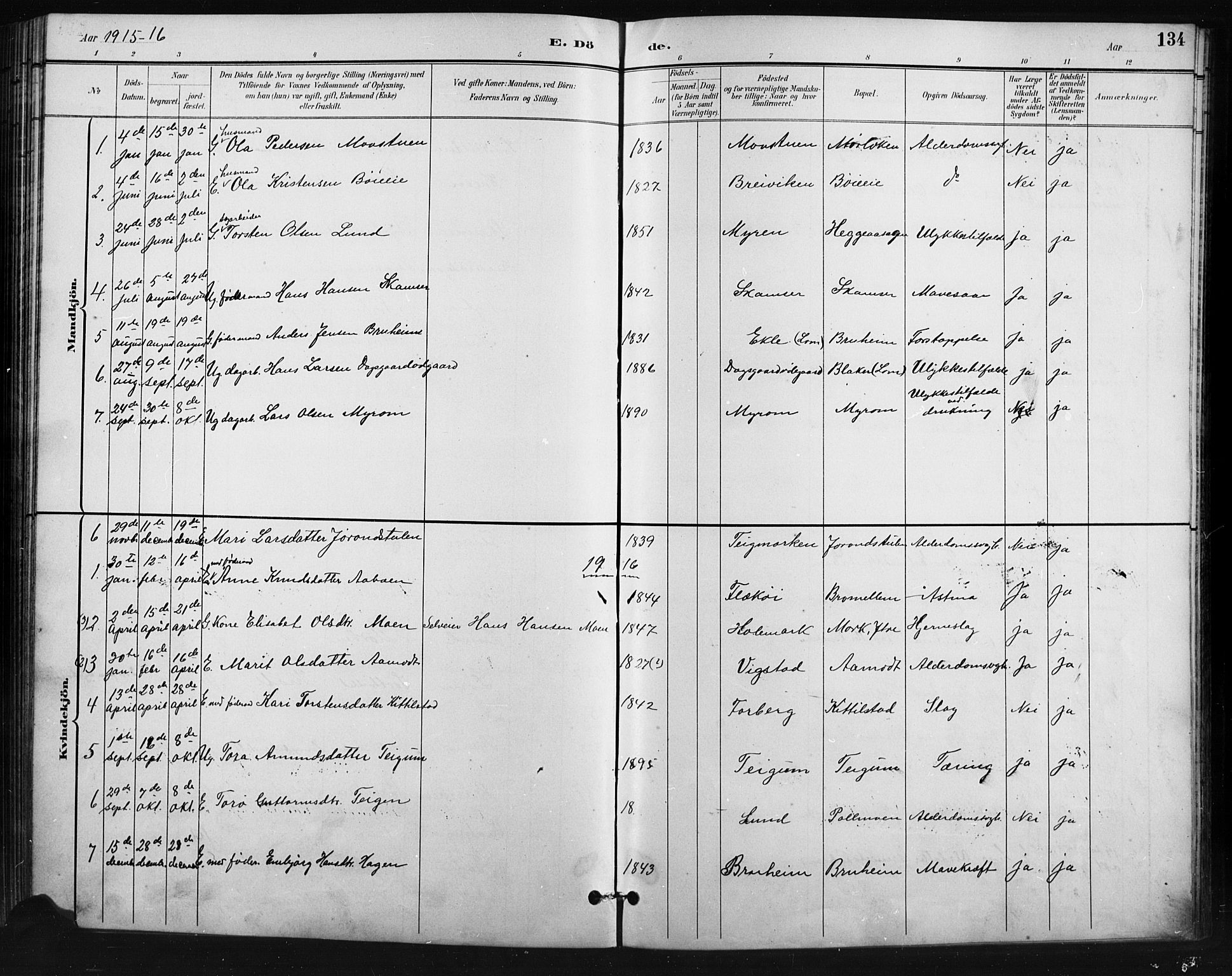 Skjåk prestekontor, SAH/PREST-072/H/Ha/Hab/L0004: Parish register (copy) no. 4, 1895-1921, p. 134