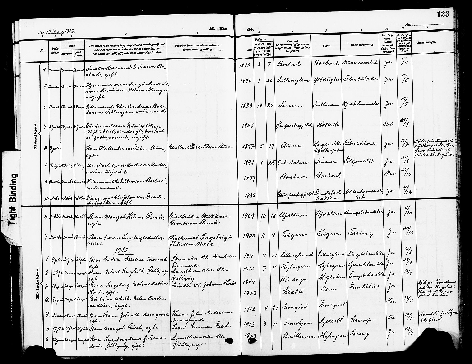 Ministerialprotokoller, klokkerbøker og fødselsregistre - Sør-Trøndelag, SAT/A-1456/618/L0453: Parish register (copy) no. 618C04, 1907-1925, p. 123