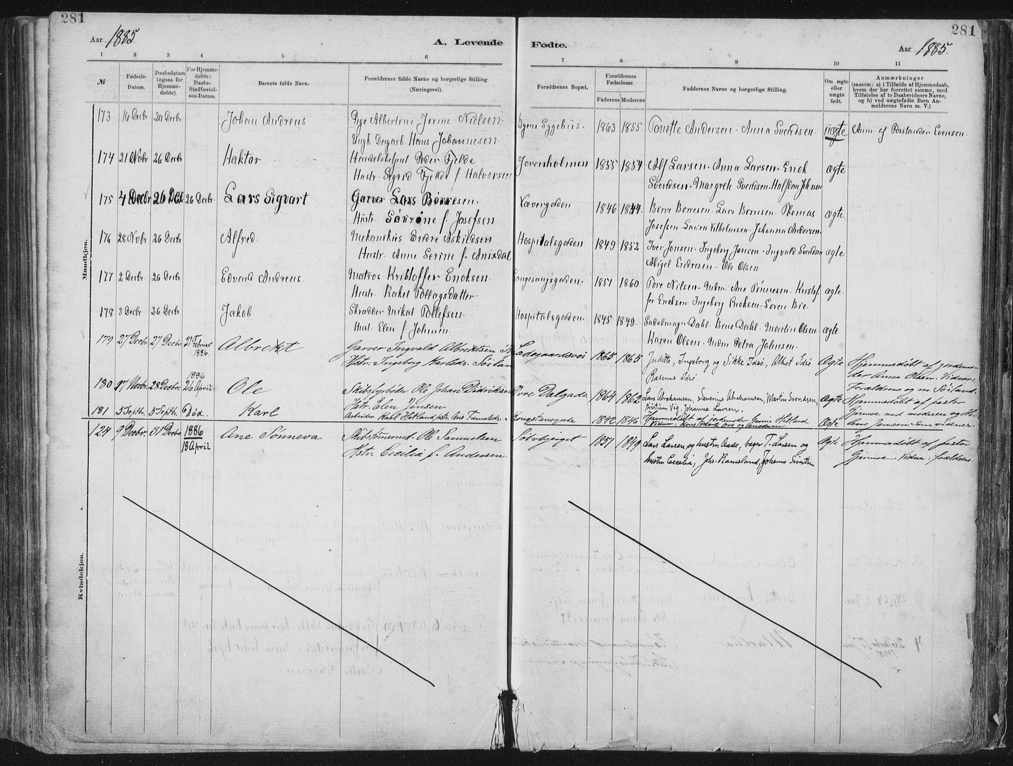 St. Petri sokneprestkontor, AV/SAST-A-101813/001/30/30BA/L0015: Parish register (official) no. A 15, 1879-1888, p. 281