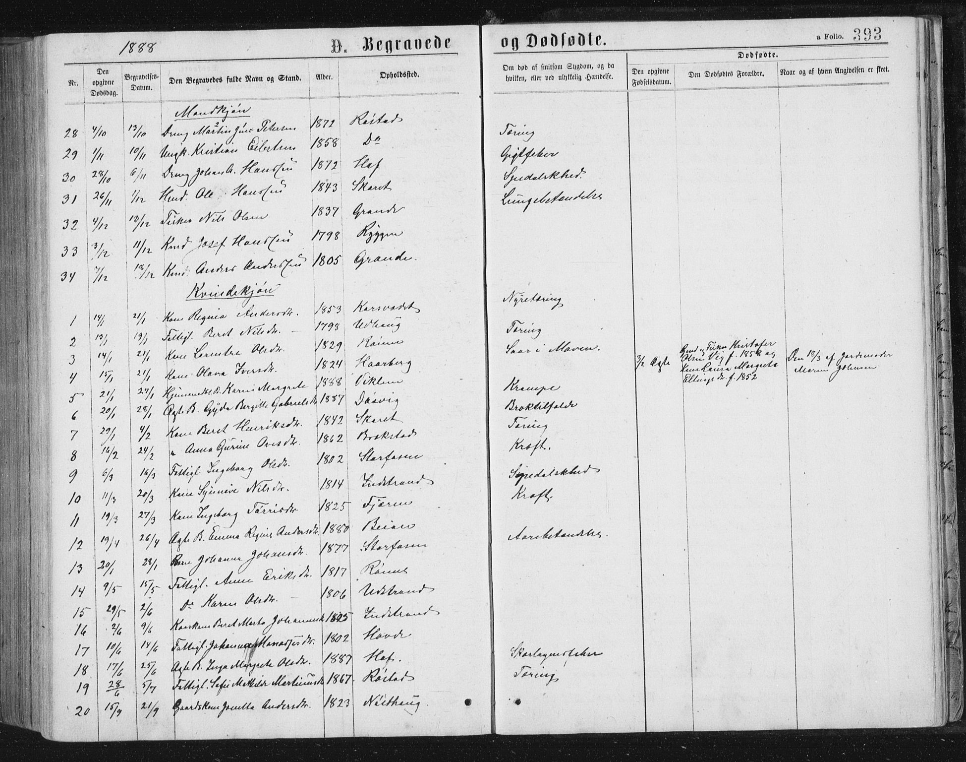 Ministerialprotokoller, klokkerbøker og fødselsregistre - Sør-Trøndelag, SAT/A-1456/659/L0745: Parish register (copy) no. 659C02, 1869-1892, p. 393