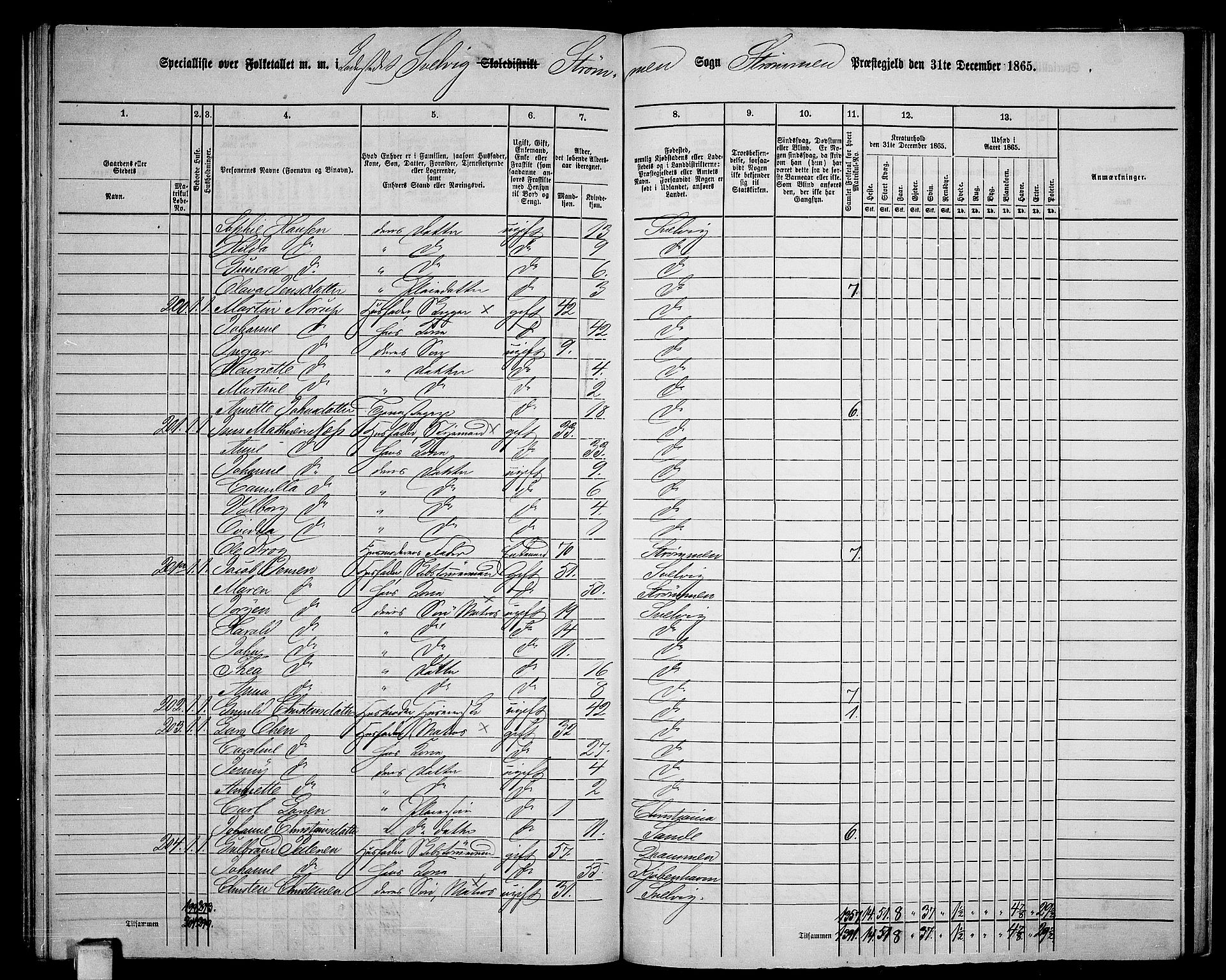 RA, 1865 census for Strømm, 1865, p. 109