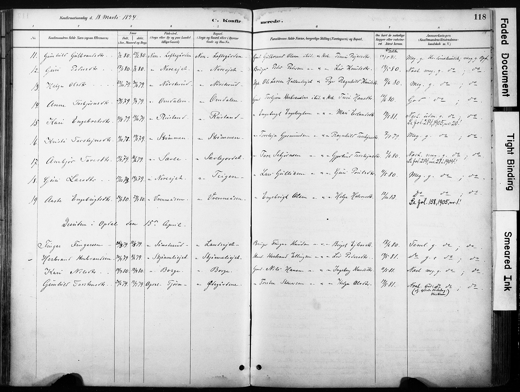 Nore kirkebøker, SAKO/A-238/F/Fb/L0002: Parish register (official) no. II 2, 1886-1906, p. 118
