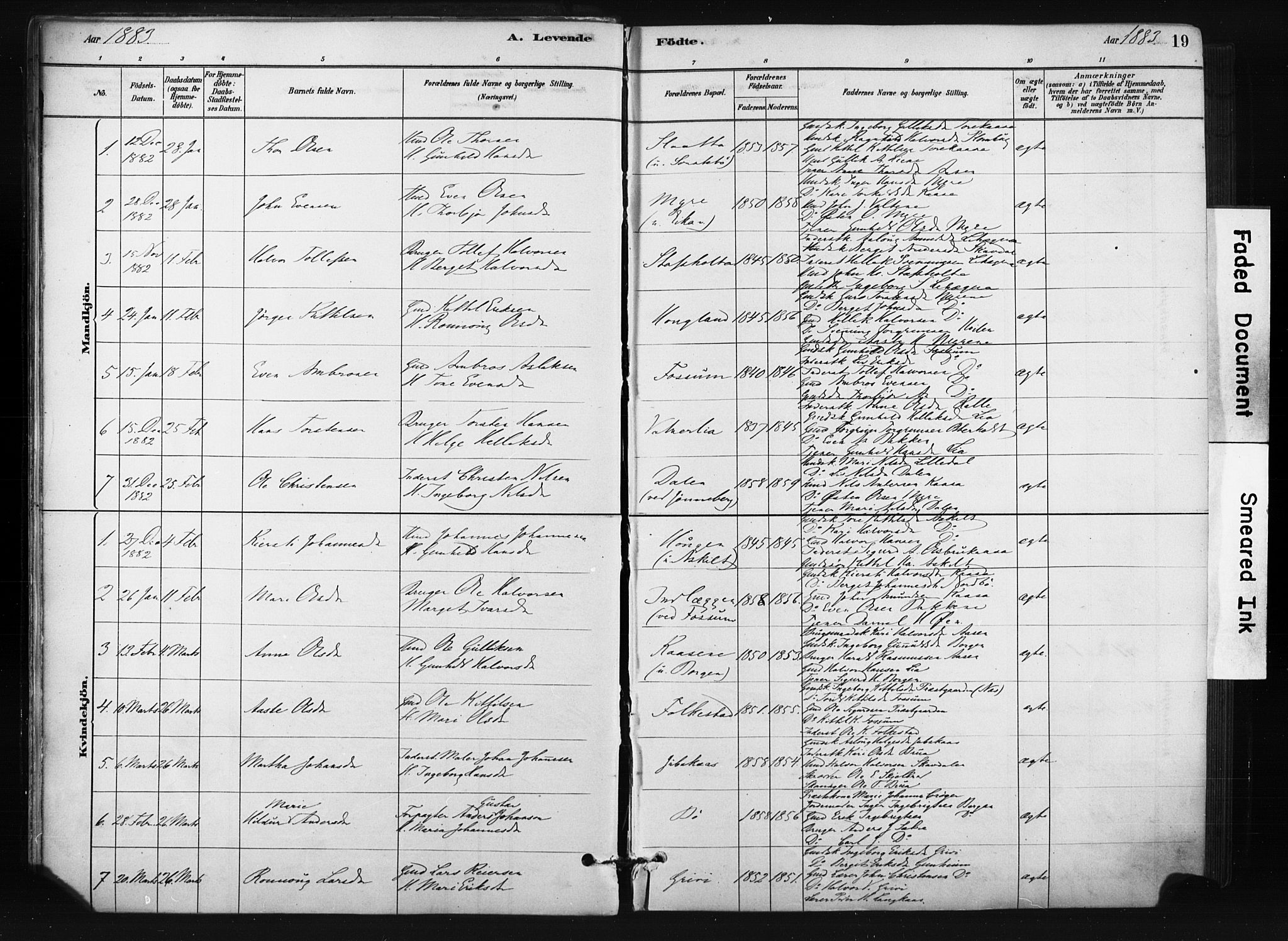 Bø kirkebøker, SAKO/A-257/F/Fa/L0010: Parish register (official) no. 10, 1880-1892, p. 19