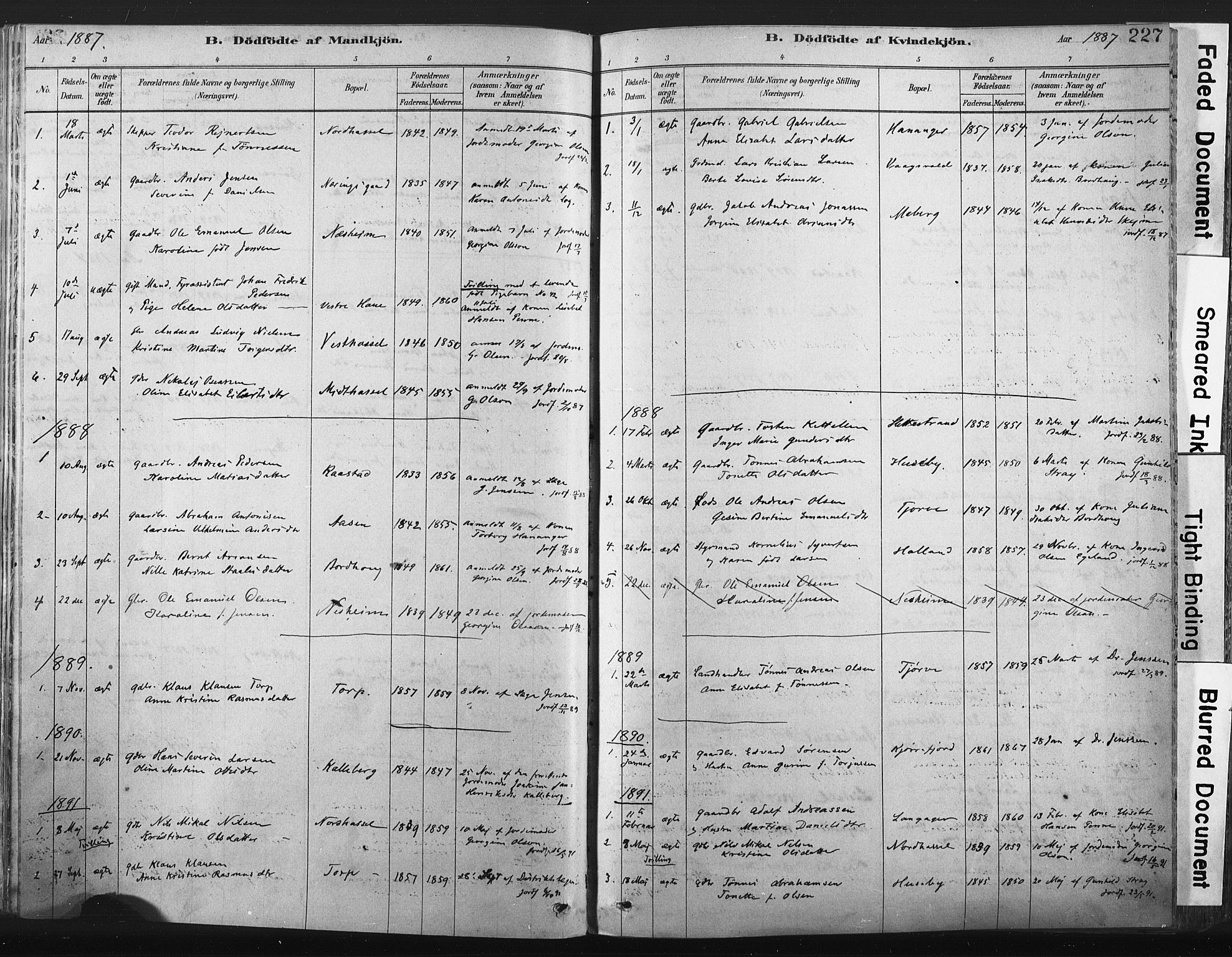Lista sokneprestkontor, SAK/1111-0027/F/Fa/L0012: Parish register (official) no. A 12, 1879-1903, p. 227