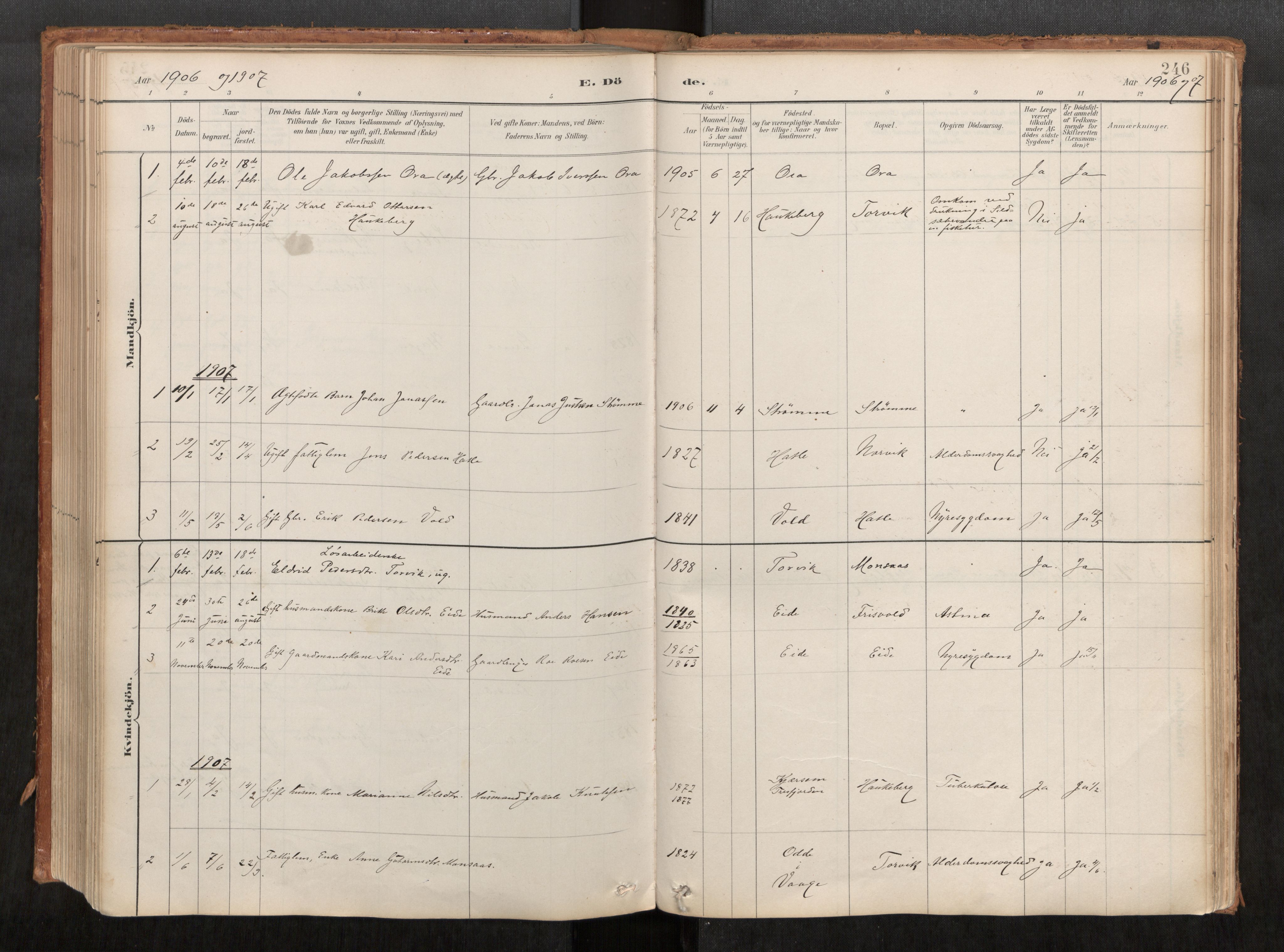 Ministerialprotokoller, klokkerbøker og fødselsregistre - Møre og Romsdal, AV/SAT-A-1454/542/L0553: Parish register (official) no. 542A03, 1885-1925, p. 246