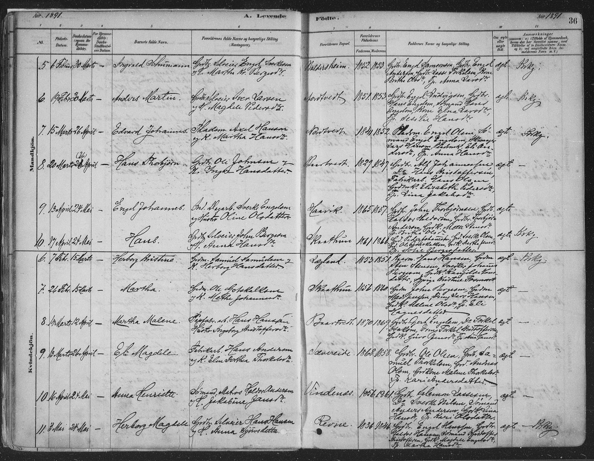 Fusa sokneprestembete, SAB/A-75401/H/Haa: Parish register (official) no. D 1, 1880-1938, p. 36