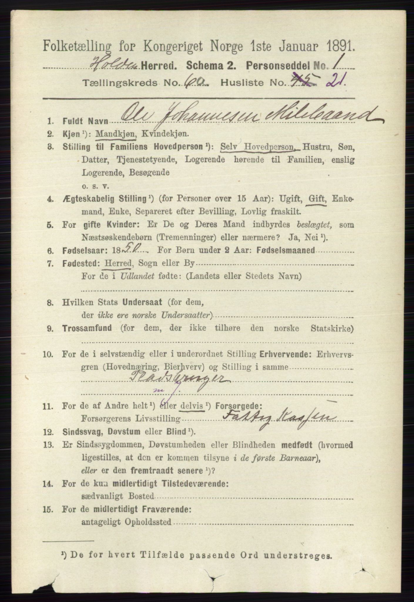 RA, 1891 census for 0819 Holla, 1891, p. 2981