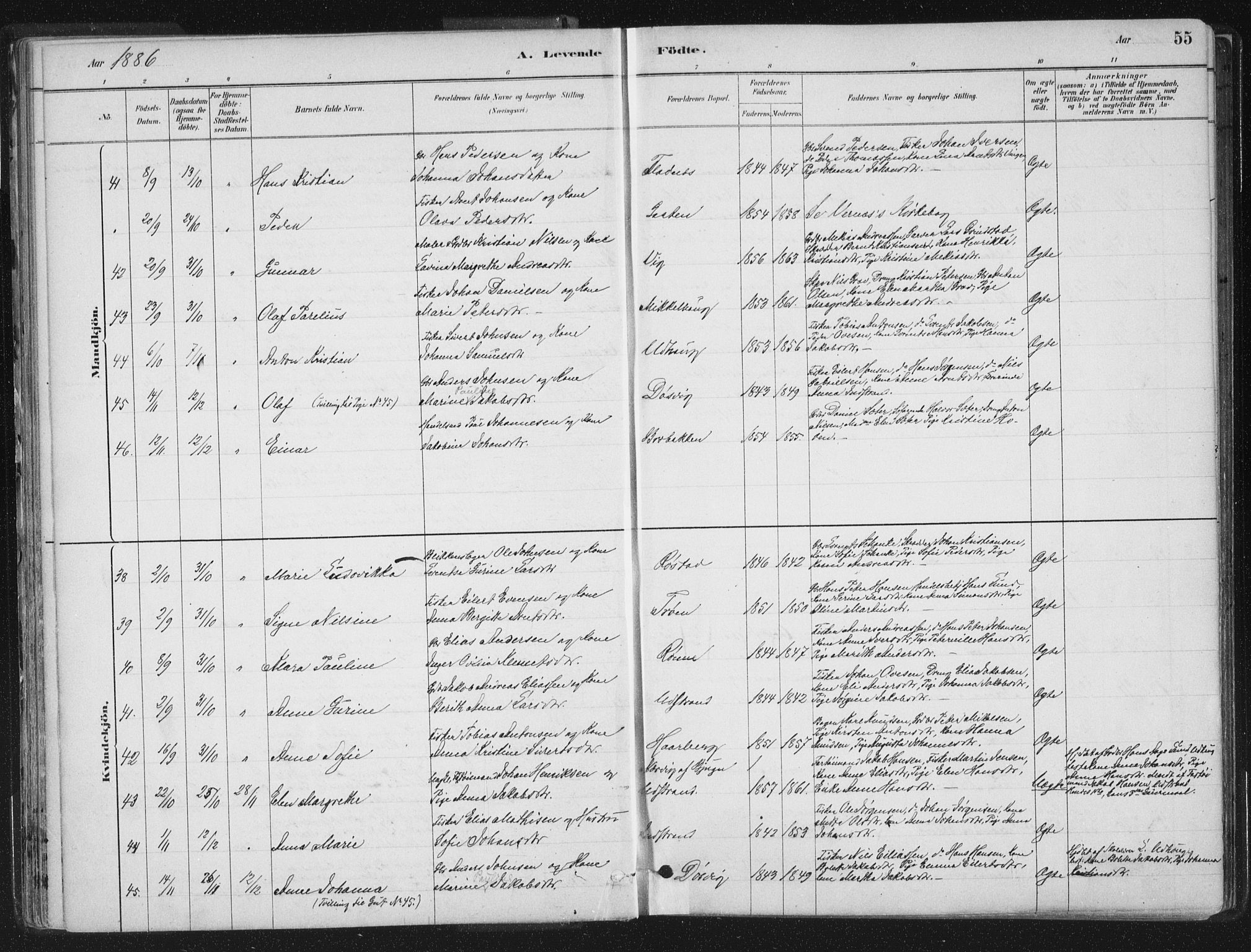 Ministerialprotokoller, klokkerbøker og fødselsregistre - Sør-Trøndelag, SAT/A-1456/659/L0739: Parish register (official) no. 659A09, 1879-1893, p. 55
