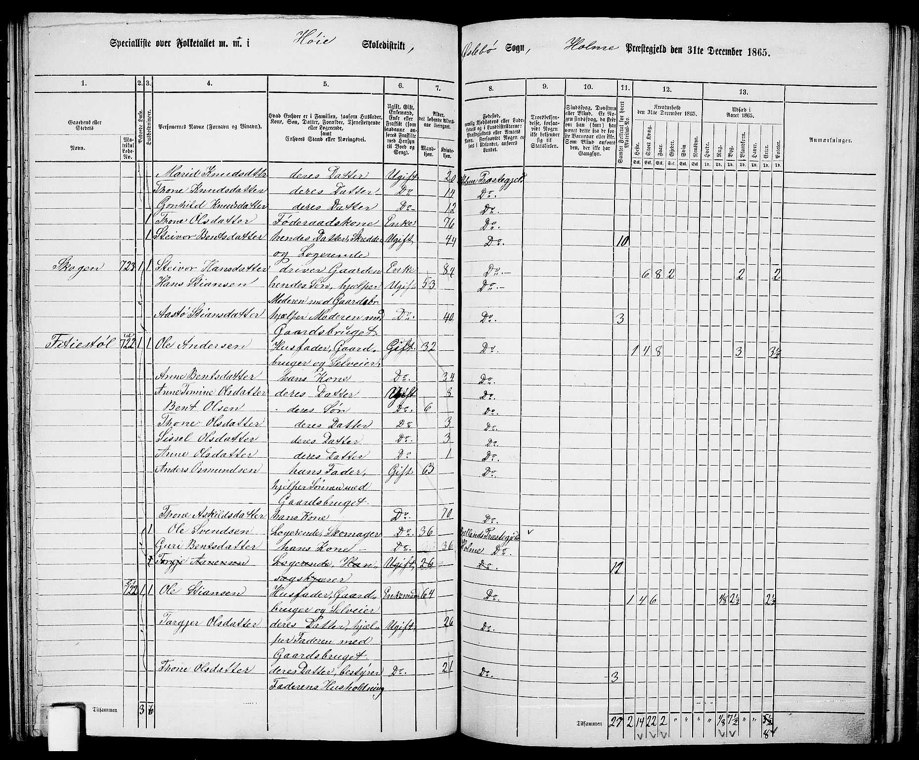 RA, 1865 census for Holum, 1865, p. 130