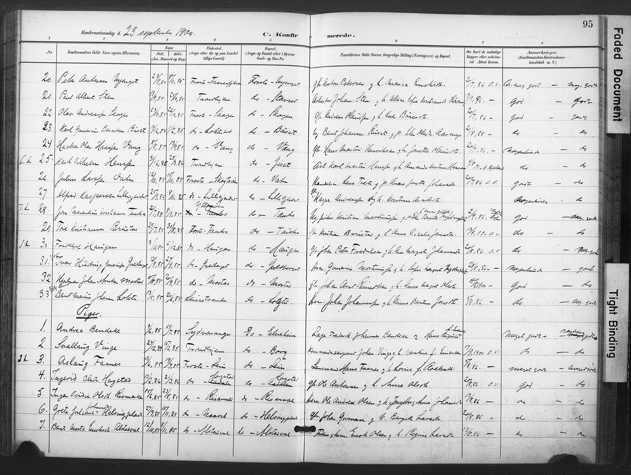 Ministerialprotokoller, klokkerbøker og fødselsregistre - Nord-Trøndelag, AV/SAT-A-1458/713/L0122: Parish register (official) no. 713A11, 1899-1910, p. 95