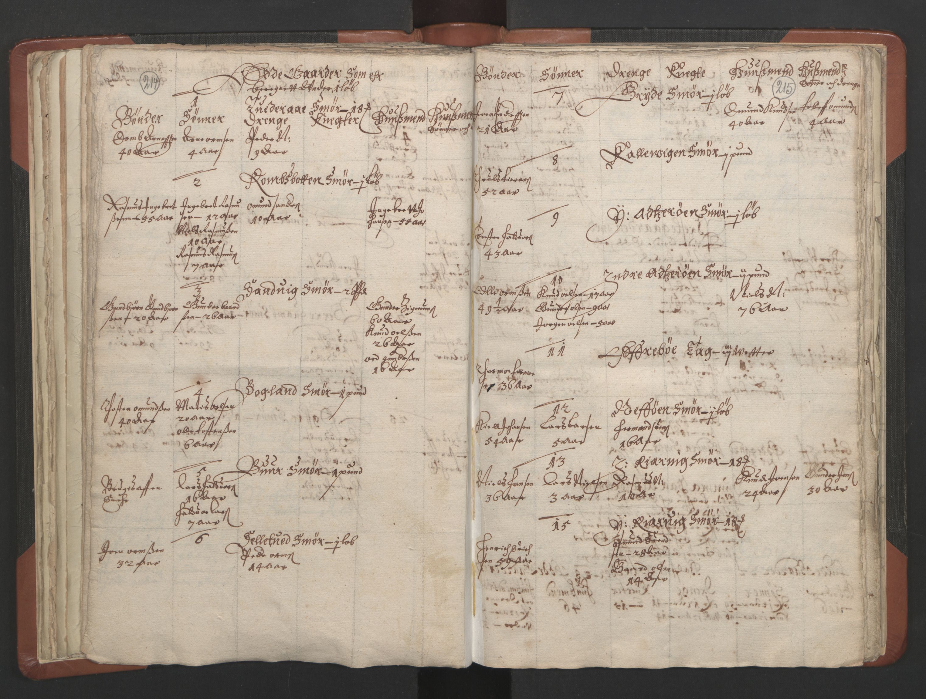 RA, Vicar's Census 1664-1666, no. 19: Ryfylke deanery, 1664-1666, p. 214-215