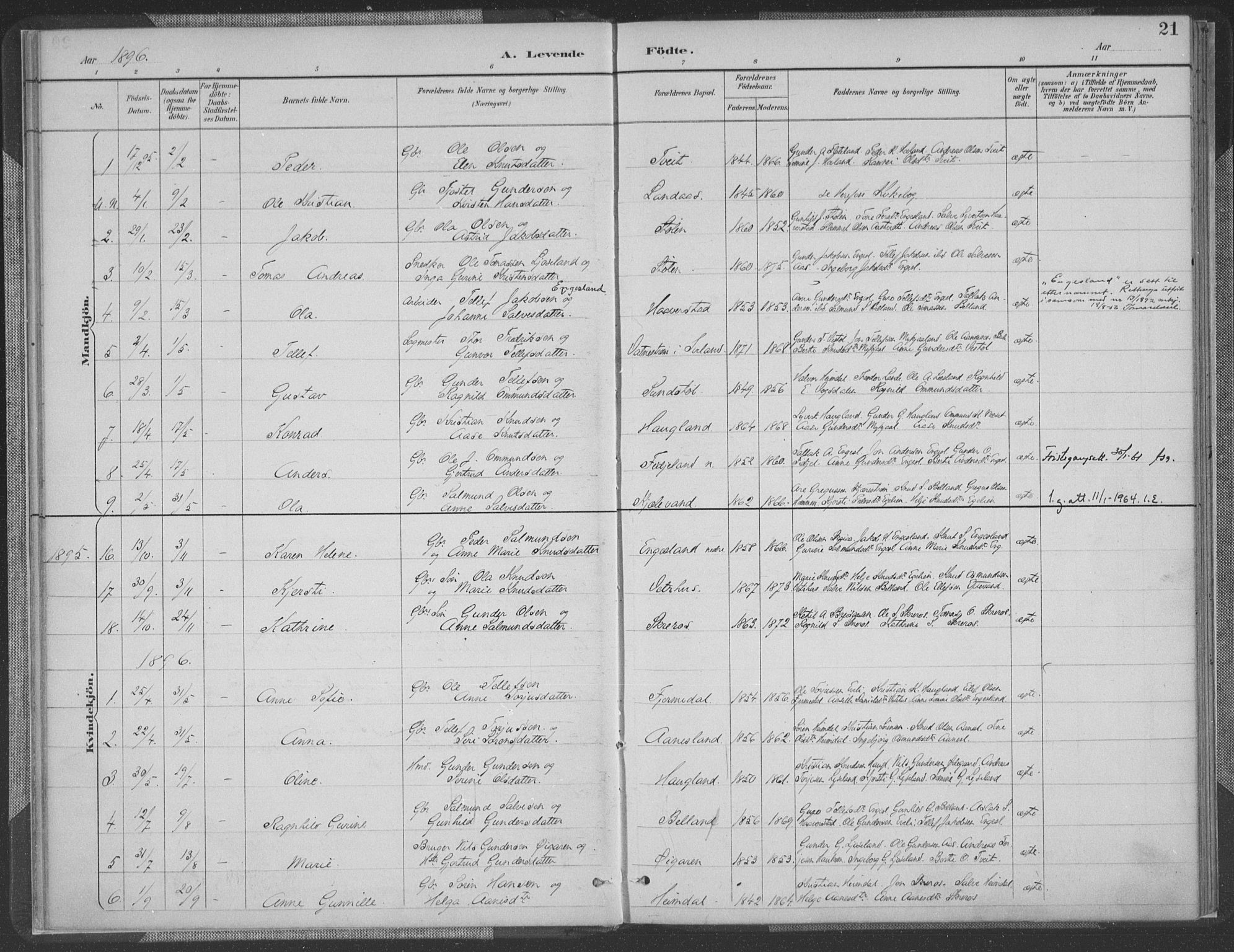 Herefoss sokneprestkontor, AV/SAK-1111-0019/F/Fa/Fab/L0004: Parish register (official) no. A 4, 1887-1909, p. 21