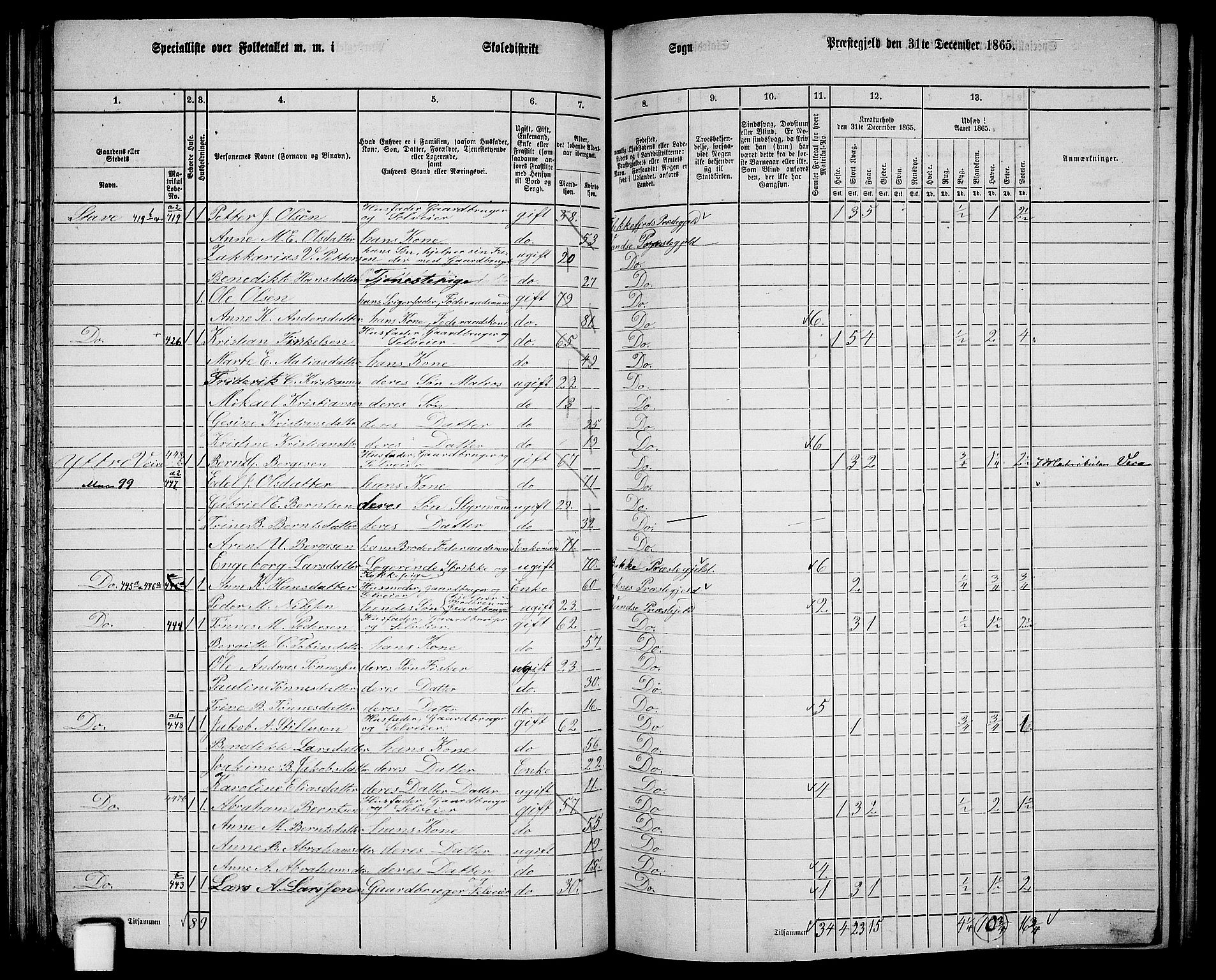 RA, 1865 census for Vanse/Vanse og Farsund, 1865, p. 142