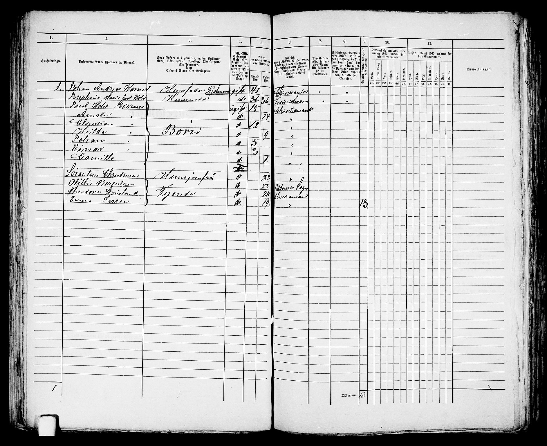 RA, 1865 census for Kristiansand, 1865, p. 1643