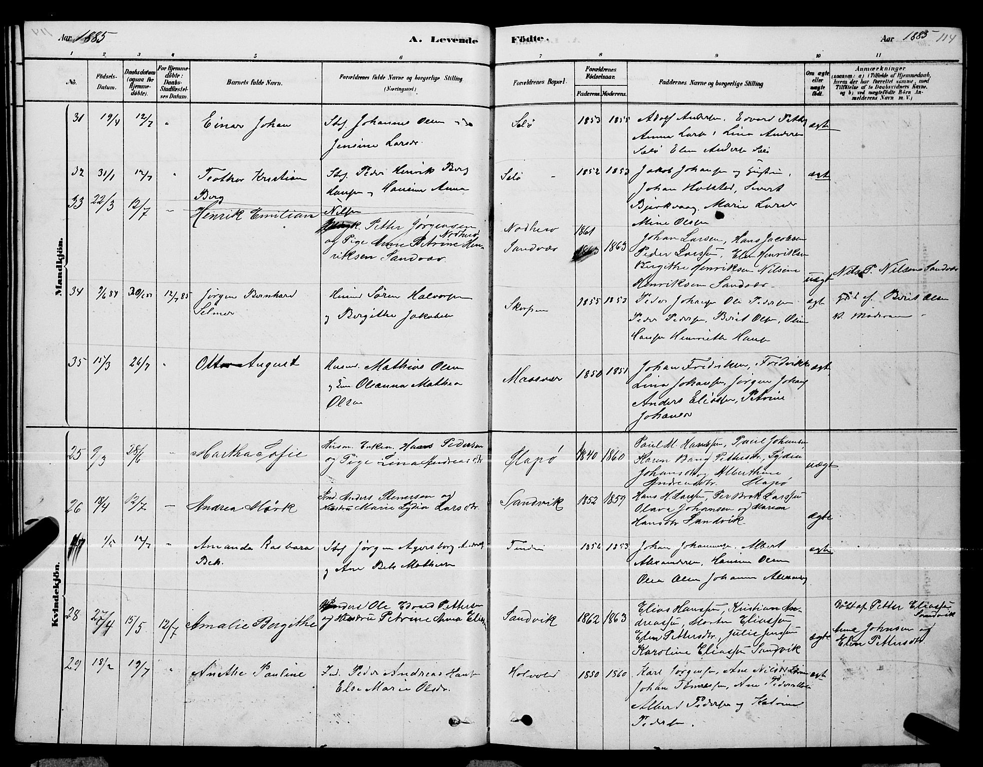 Ministerialprotokoller, klokkerbøker og fødselsregistre - Nordland, AV/SAT-A-1459/834/L0513: Parish register (copy) no. 834C04, 1877-1892, p. 114