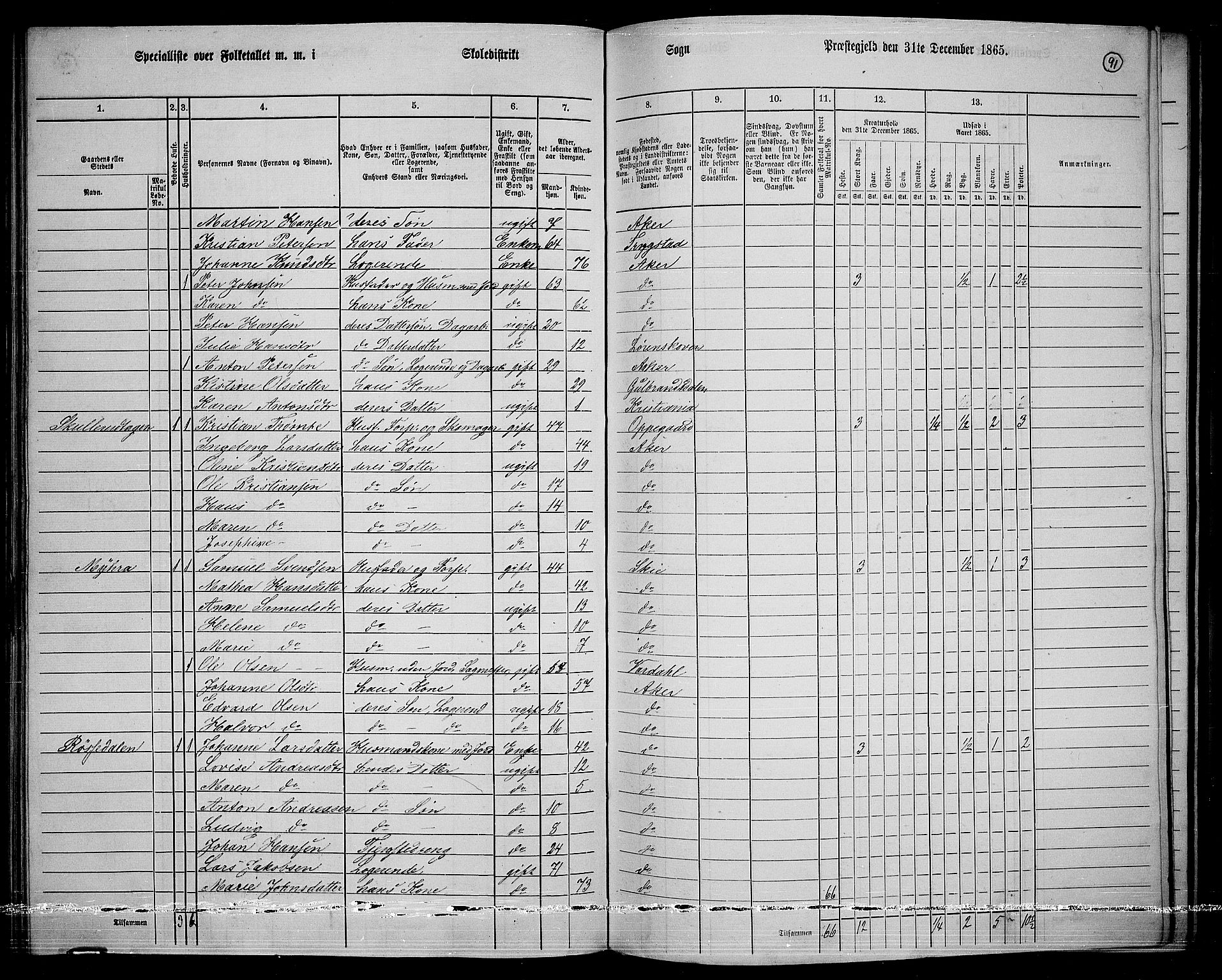 RA, 1865 census for Østre Aker, 1865, p. 315