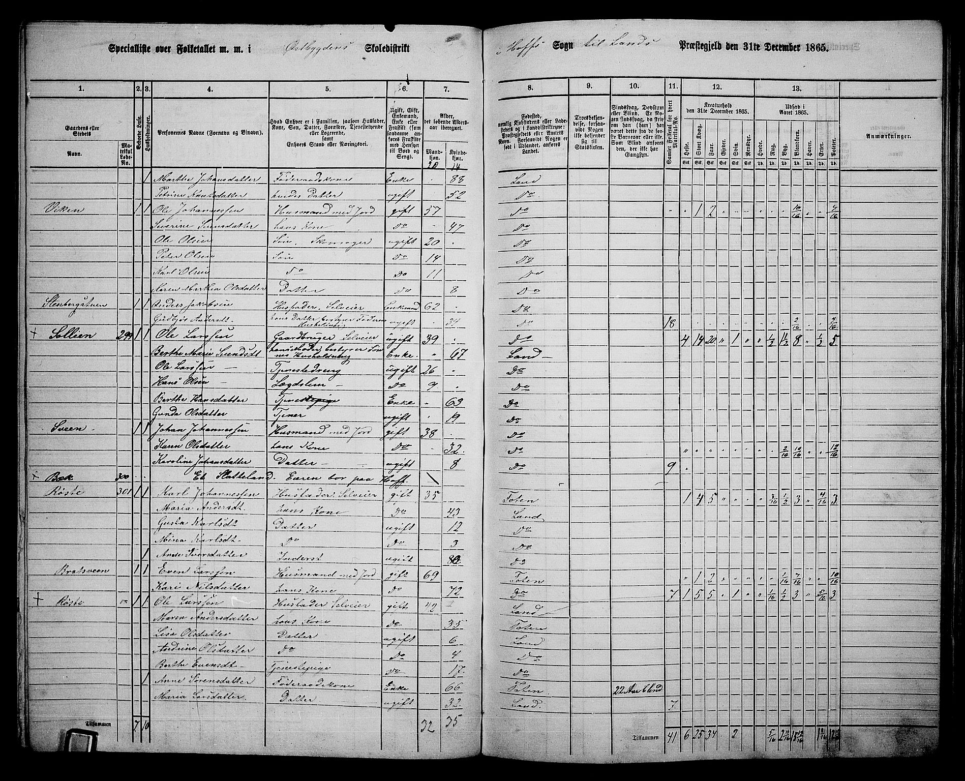 RA, 1865 census for Land, 1865, p. 344