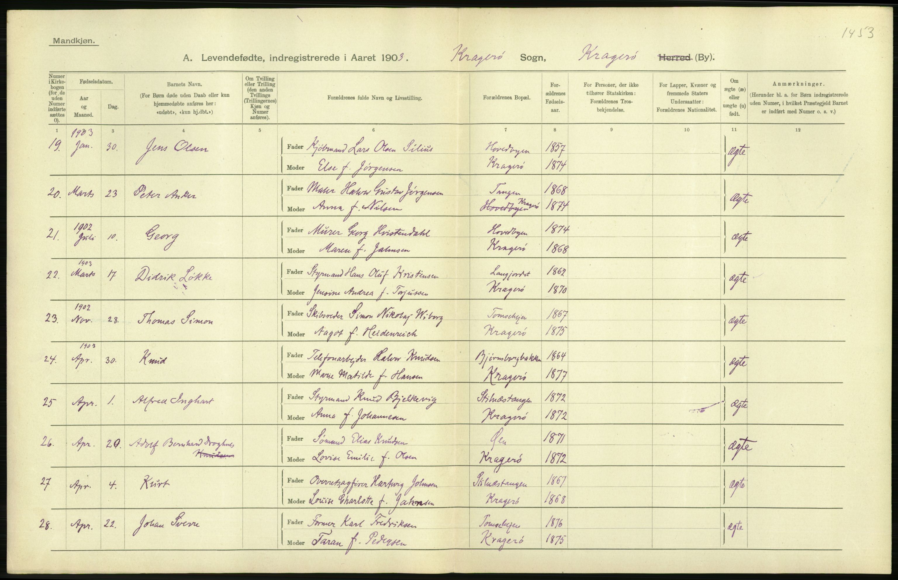 Statistisk sentralbyrå, Sosiodemografiske emner, Befolkning, AV/RA-S-2228/D/Df/Dfa/Dfaa/L0009: Bratsberg amt: Fødte, gifte, døde, 1903, p. 348