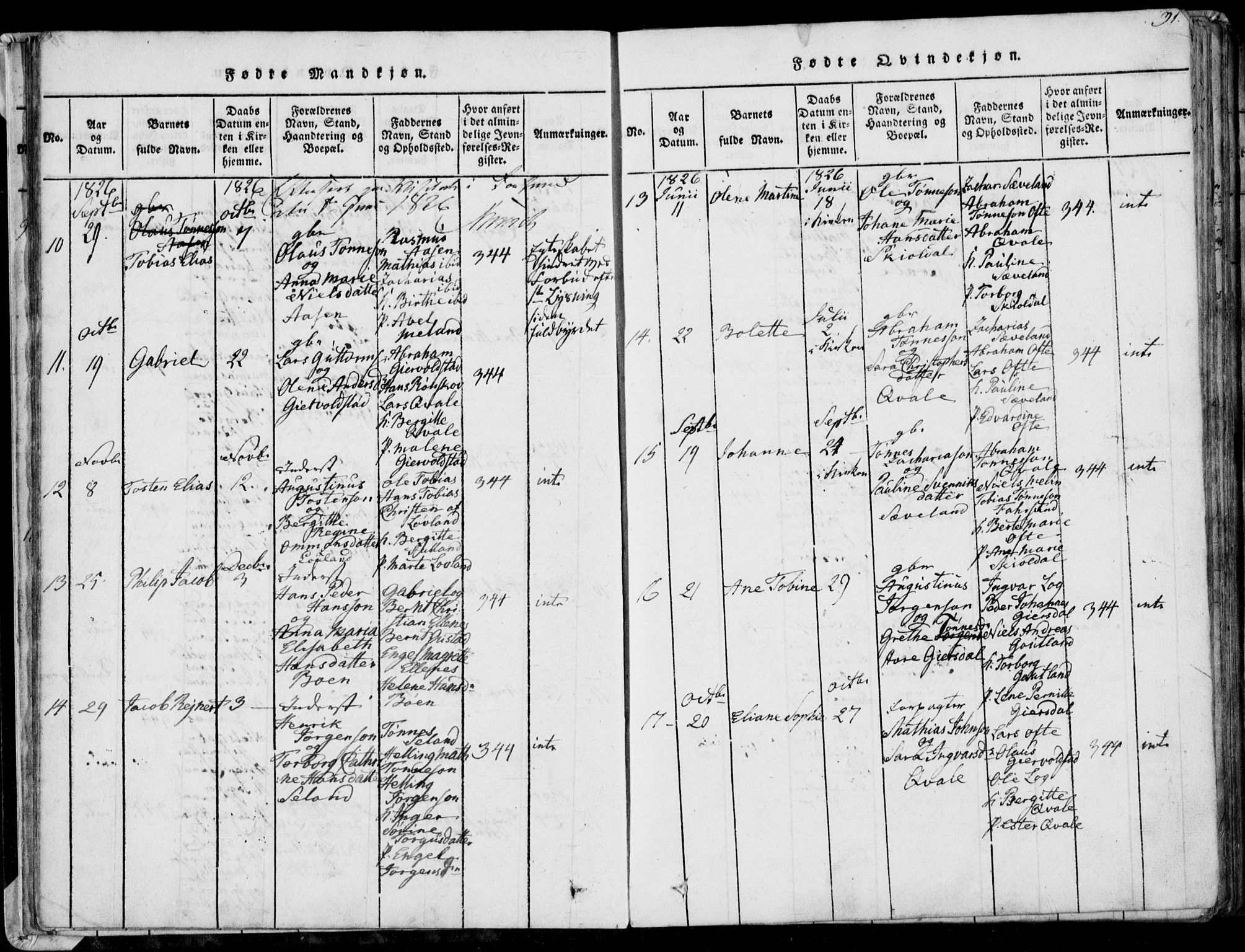 Herad sokneprestkontor, AV/SAK-1111-0018/F/Fa/Faa/L0003: Parish register (official) no. A 3, 1816-1844, p. 31