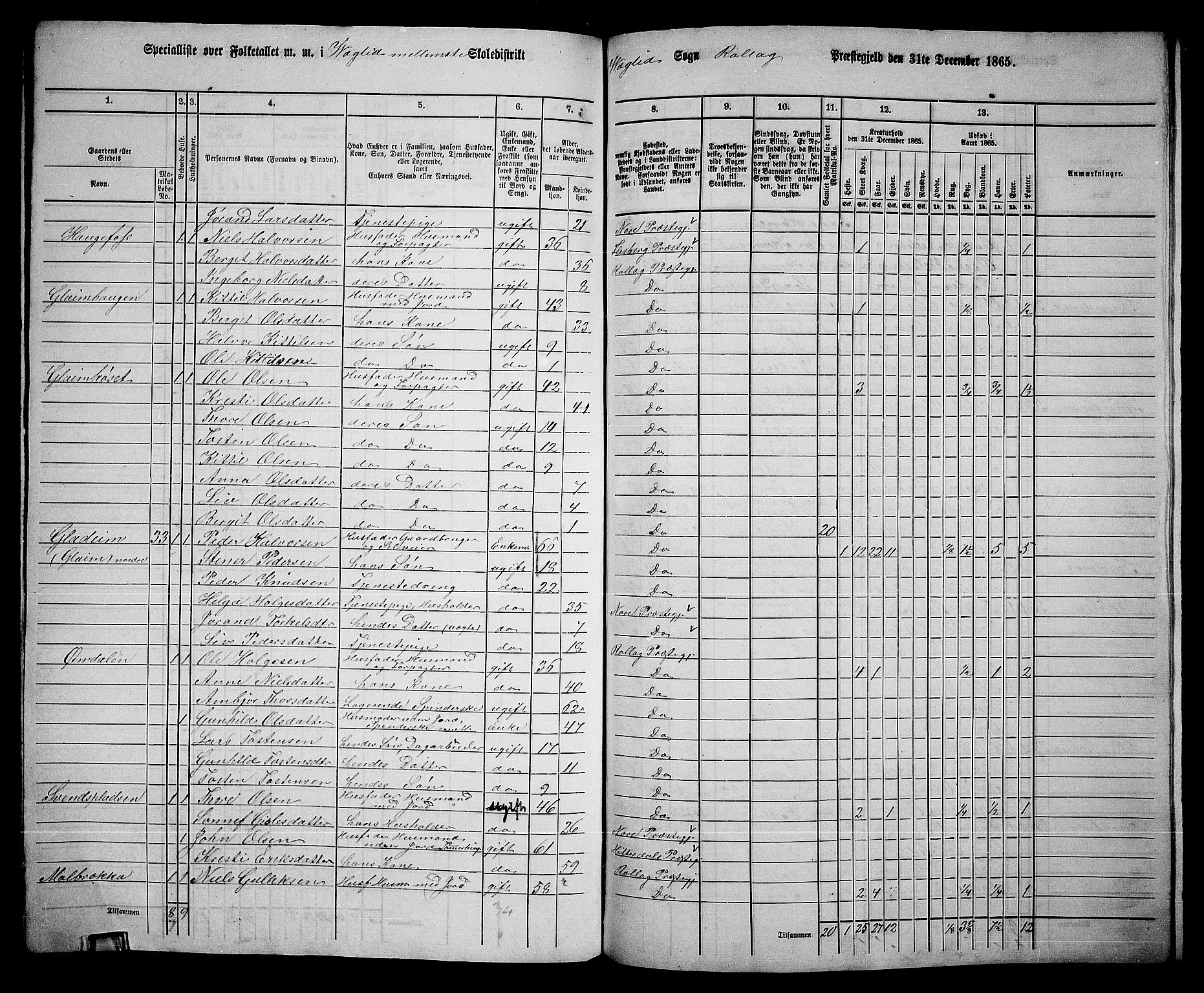 RA, 1865 census for Rollag, 1865, p. 58