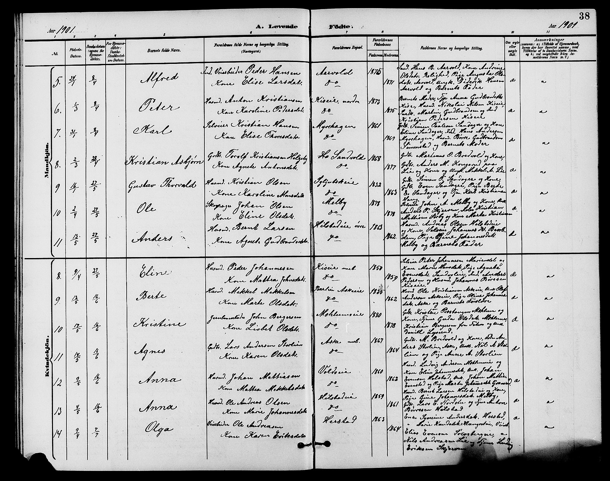 Nes prestekontor, Hedmark, AV/SAH-PREST-020/L/La/L0007: Parish register (copy) no. 7, 1892-1912, p. 38