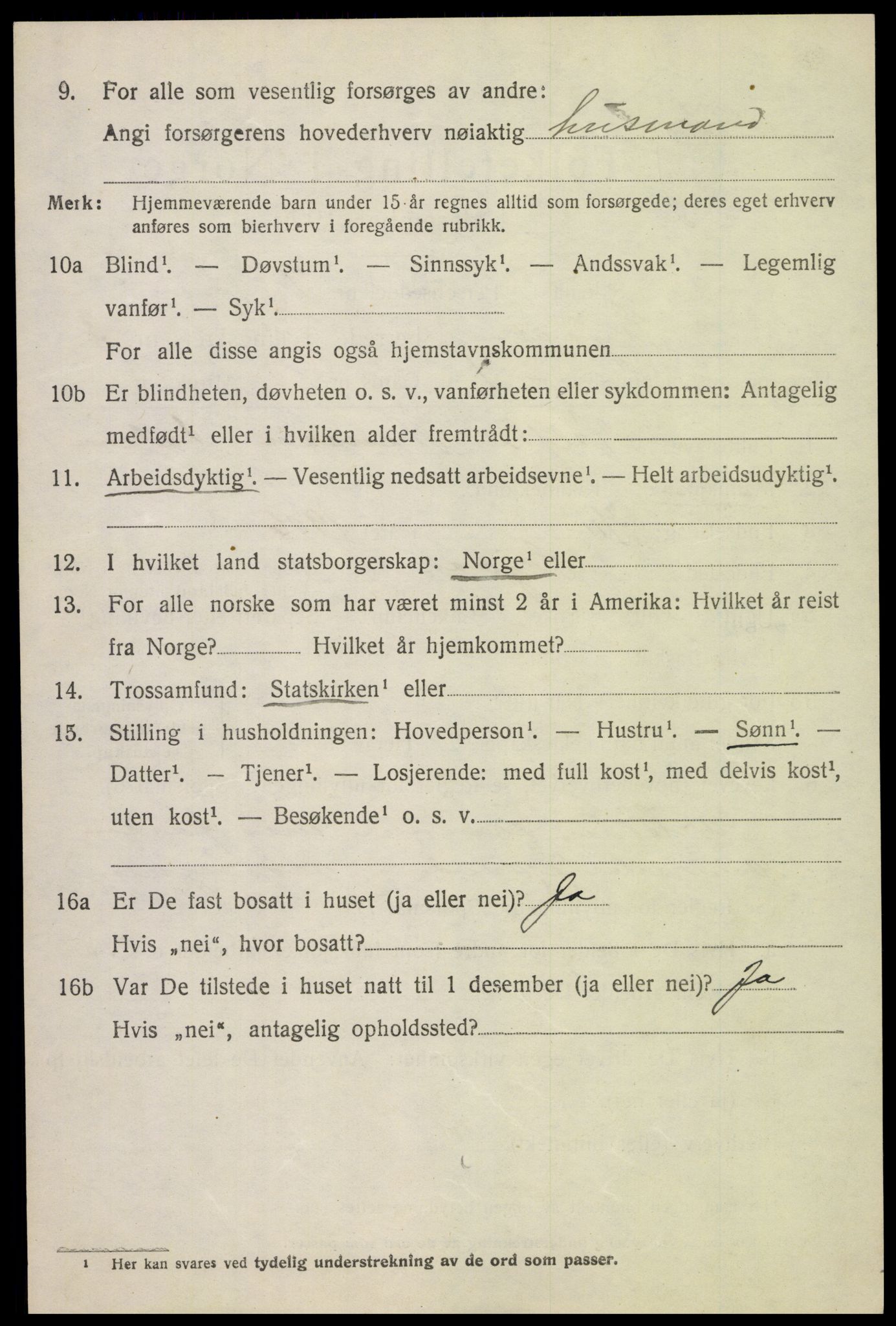 SAH, 1920 census for Skjåk, 1920, p. 1573