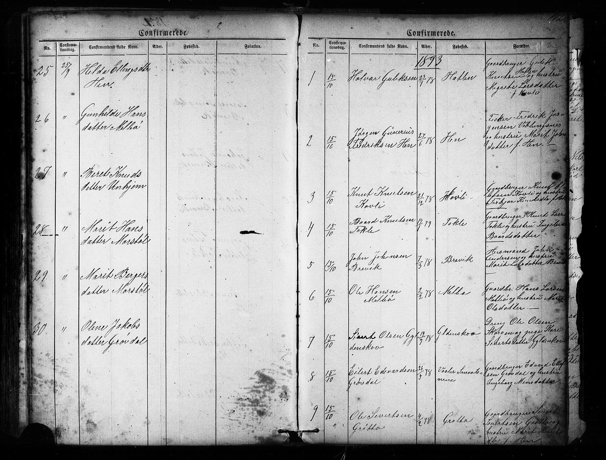 Ministerialprotokoller, klokkerbøker og fødselsregistre - Møre og Romsdal, SAT/A-1454/545/L0588: Parish register (copy) no. 545C02, 1867-1902, p. 172