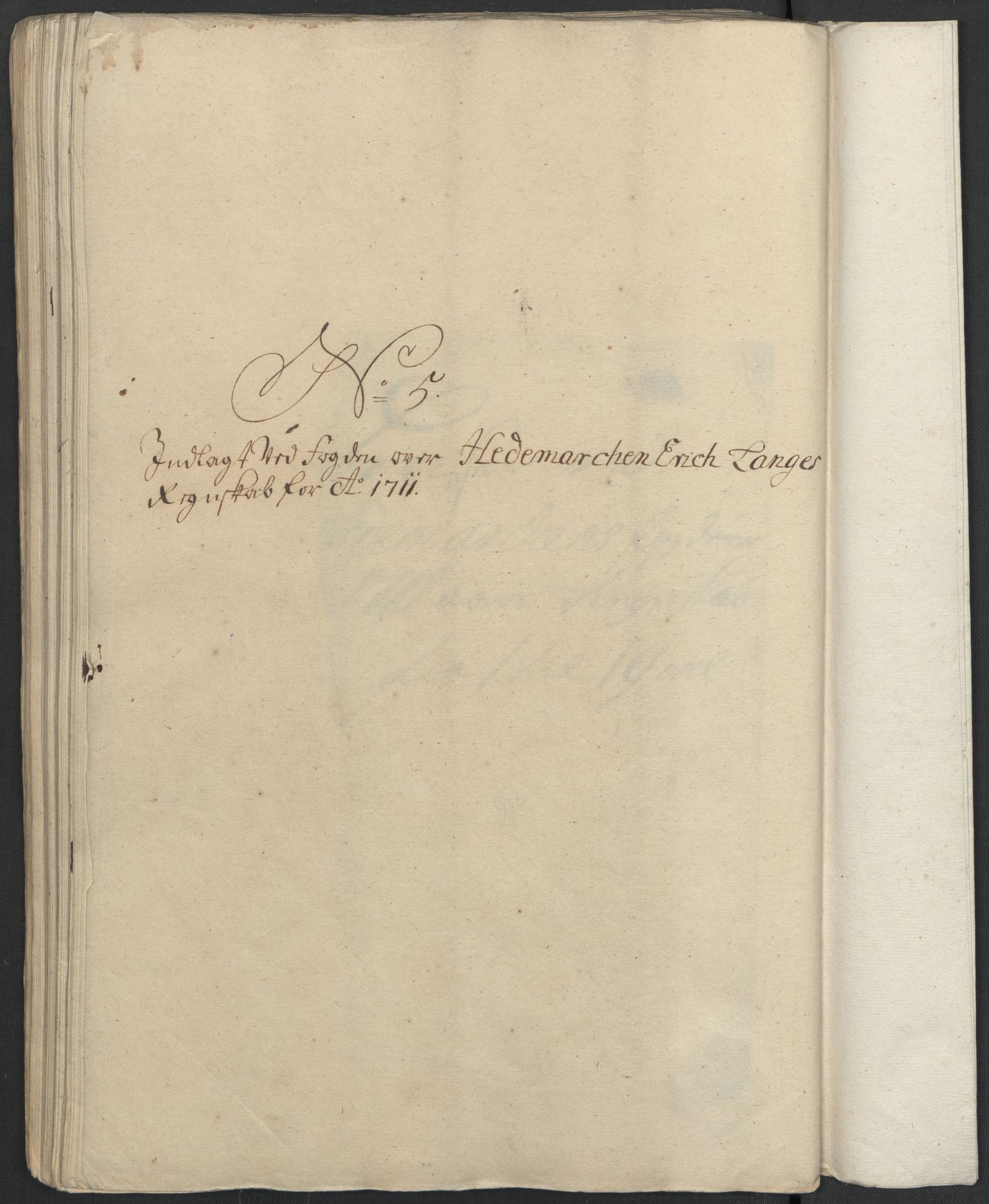 Rentekammeret inntil 1814, Reviderte regnskaper, Fogderegnskap, RA/EA-4092/R16/L1047: Fogderegnskap Hedmark, 1711, p. 205