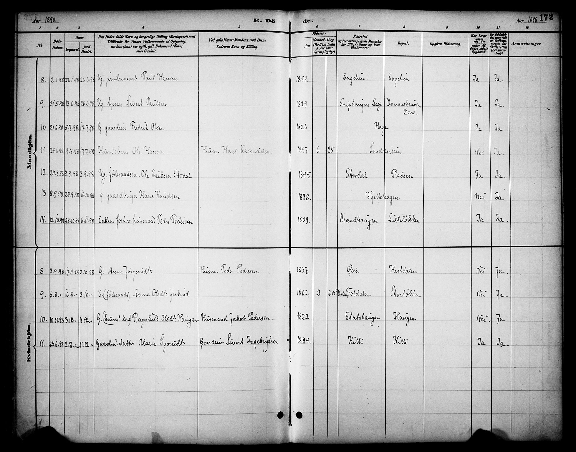 Dovre prestekontor, SAH/PREST-066/H/Ha/Haa/L0003: Parish register (official) no. 3, 1891-1901, p. 172