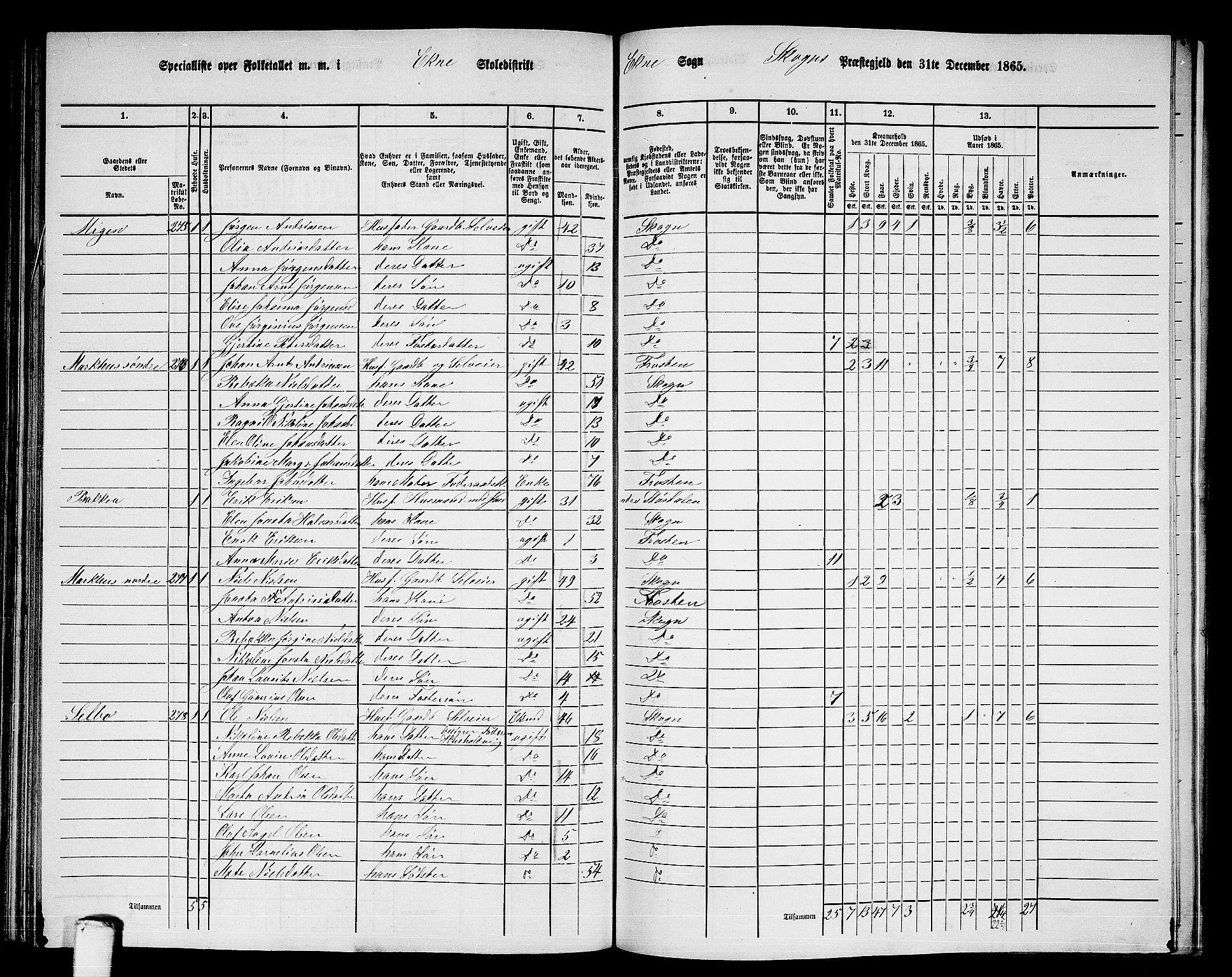 RA, 1865 census for Skogn, 1865, p. 146