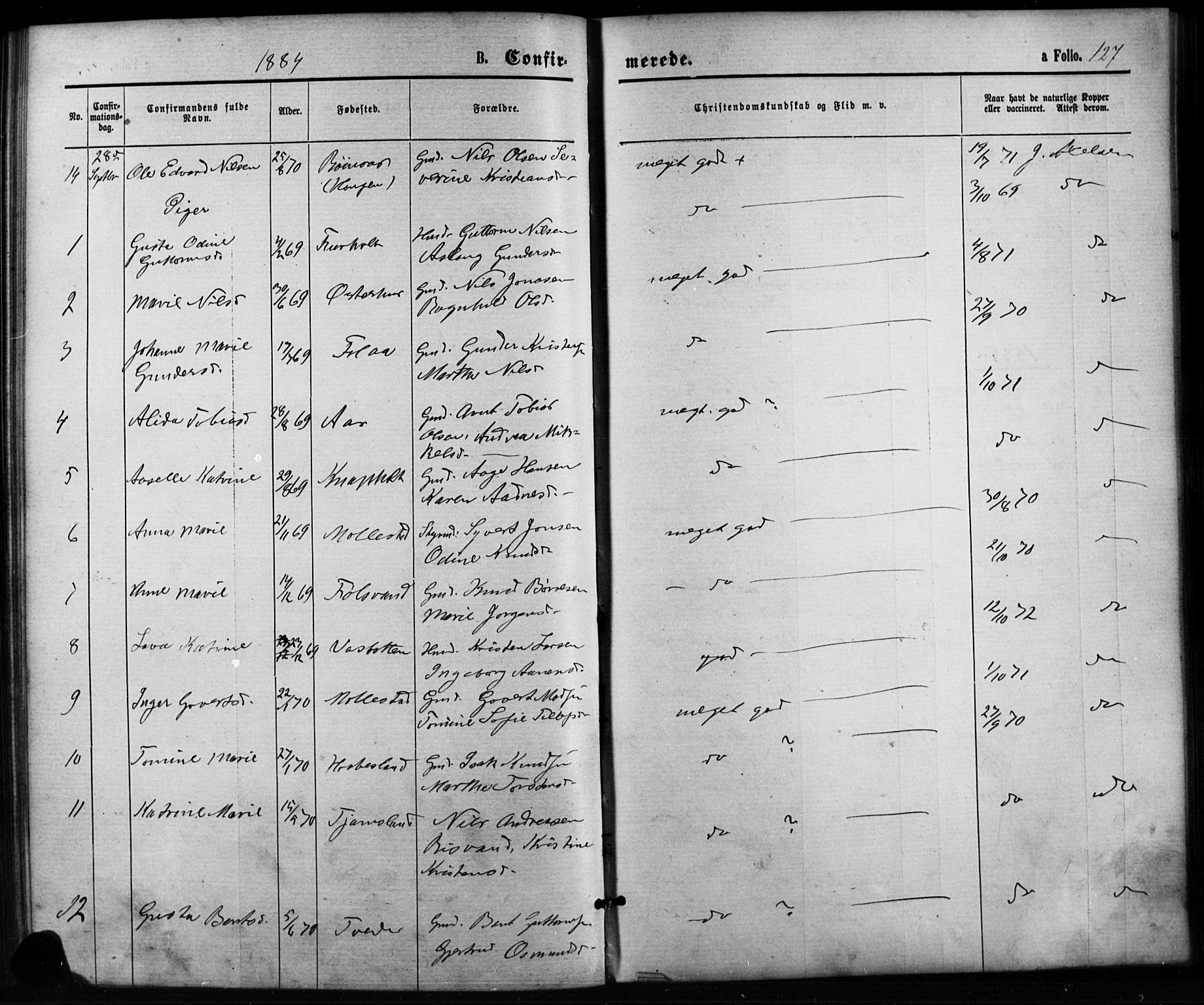 Birkenes sokneprestkontor, SAK/1111-0004/F/Fb/L0003: Parish register (copy) no. B 3, 1876-1892, p. 127
