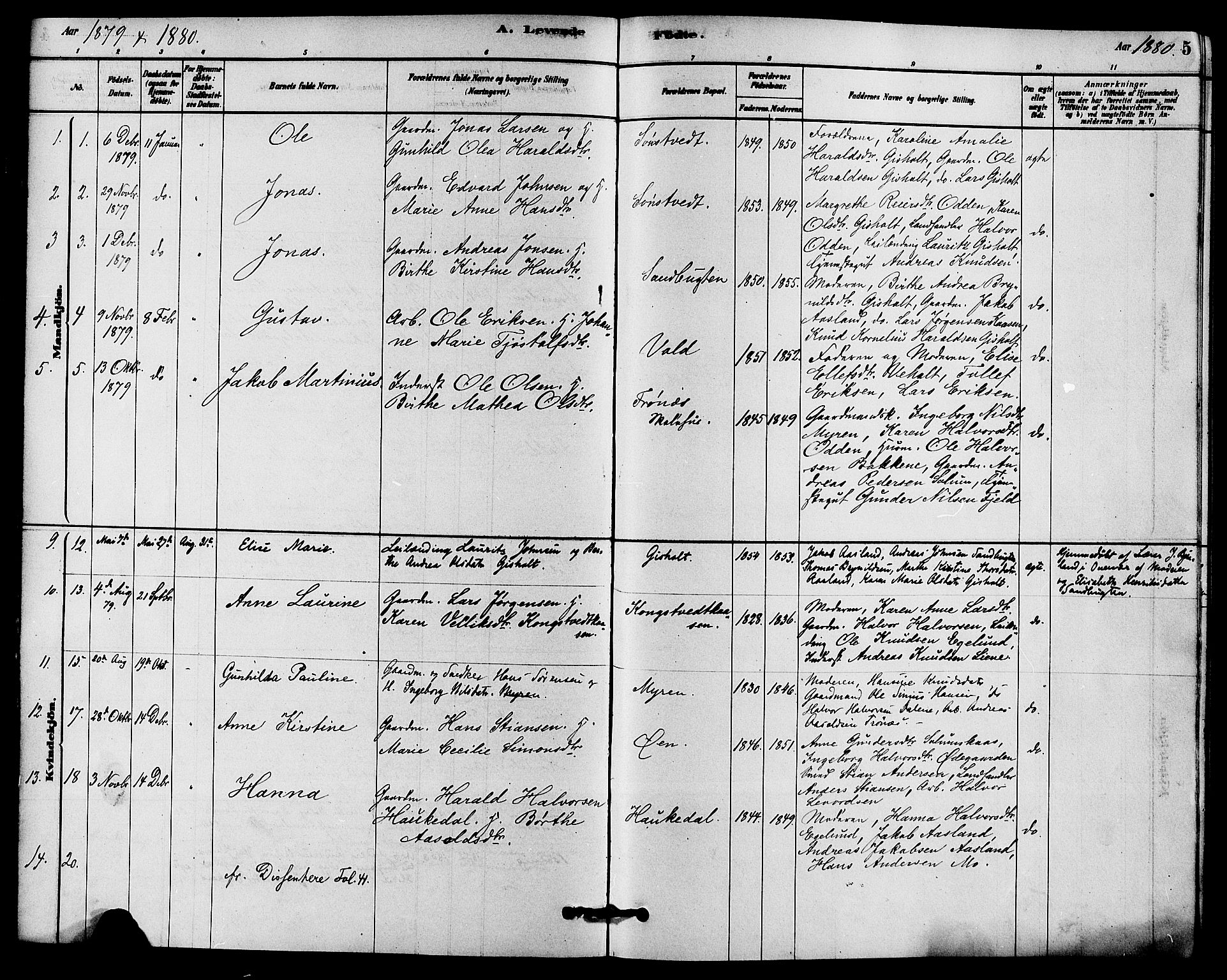 Solum kirkebøker, SAKO/A-306/F/Fc/L0001: Parish register (official) no. III 1, 1877-1891, p. 5