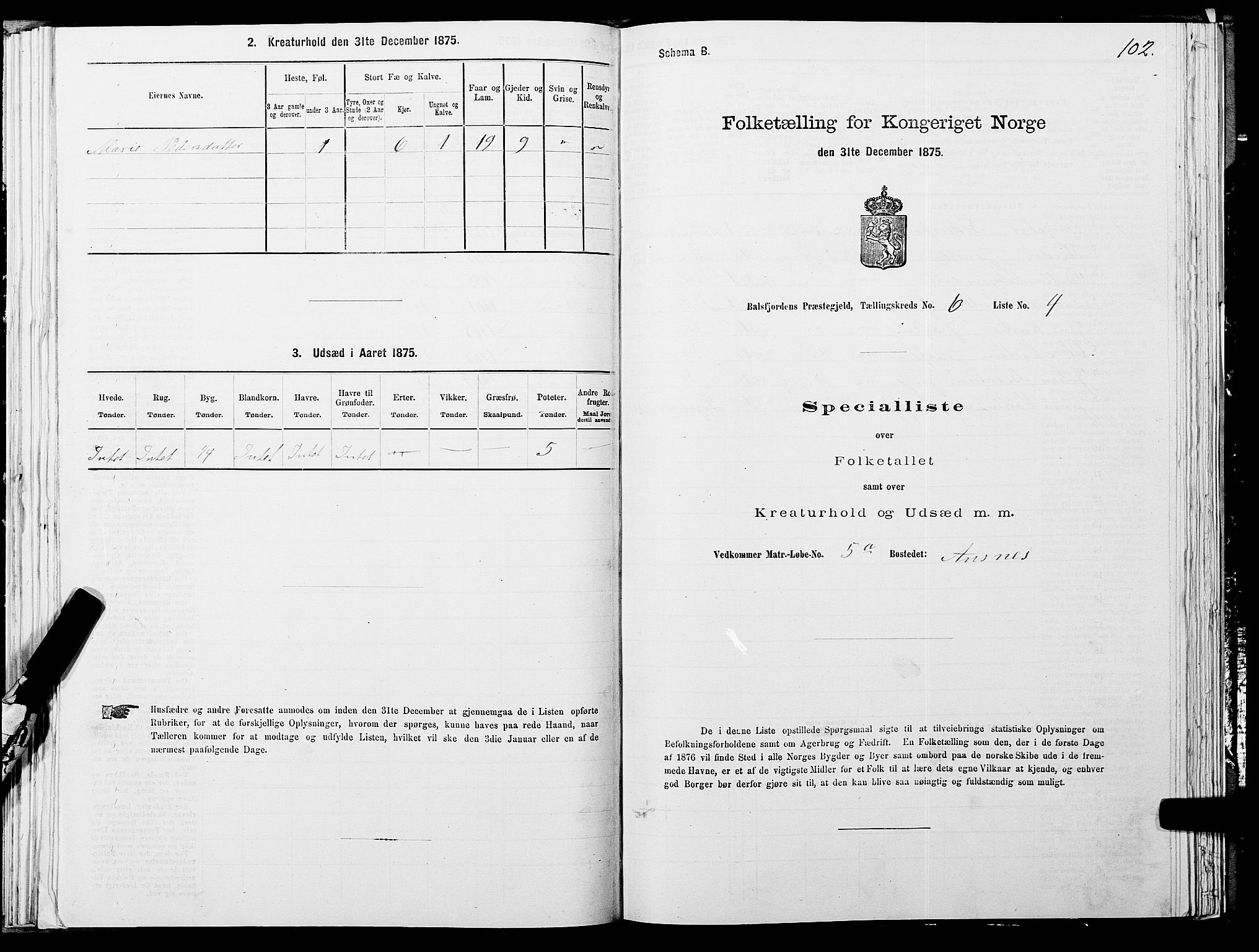 SATØ, 1875 census for 1933P Balsfjord, 1875, p. 3102