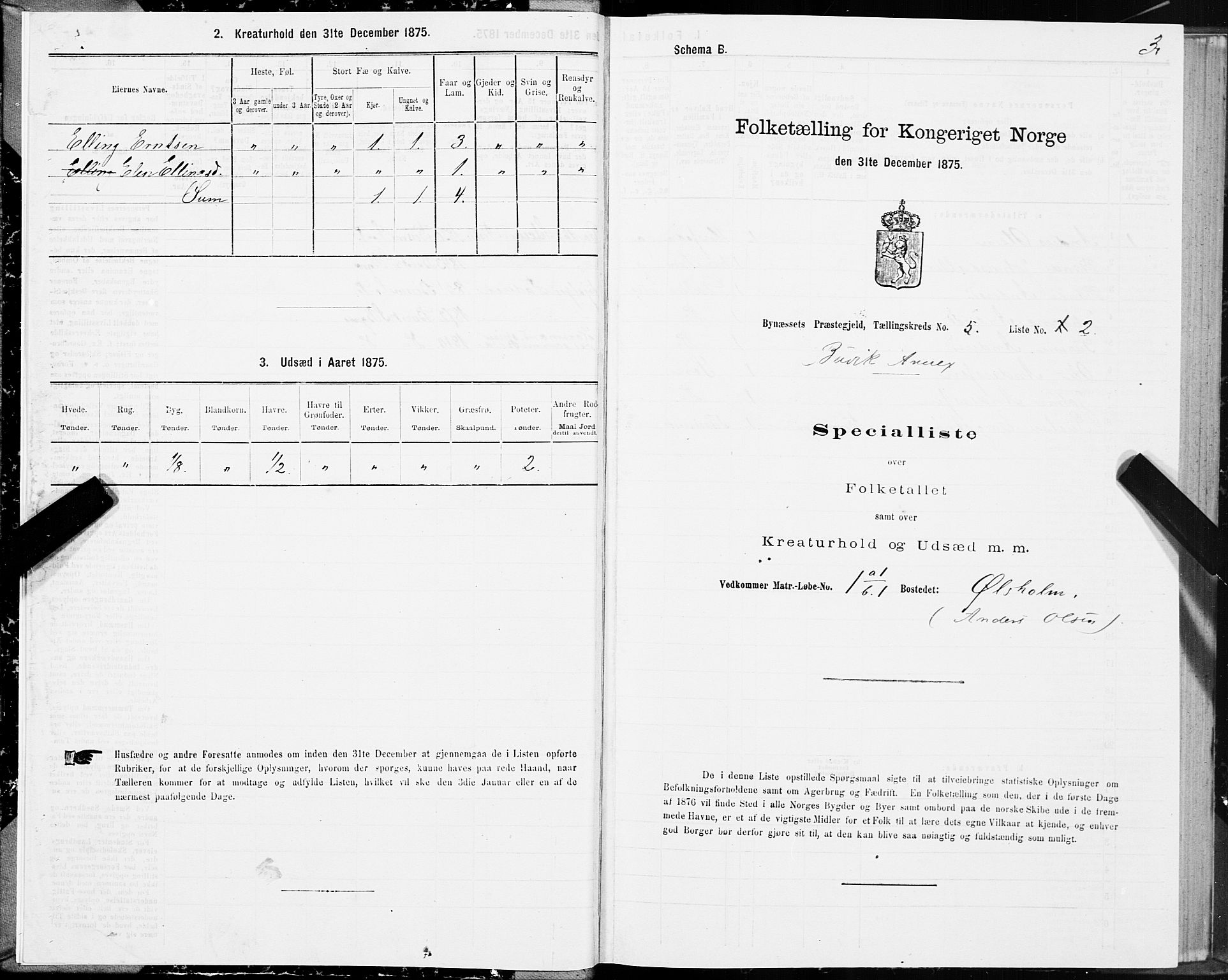 SAT, 1875 census for 1655P Byneset, 1875, p. 3003