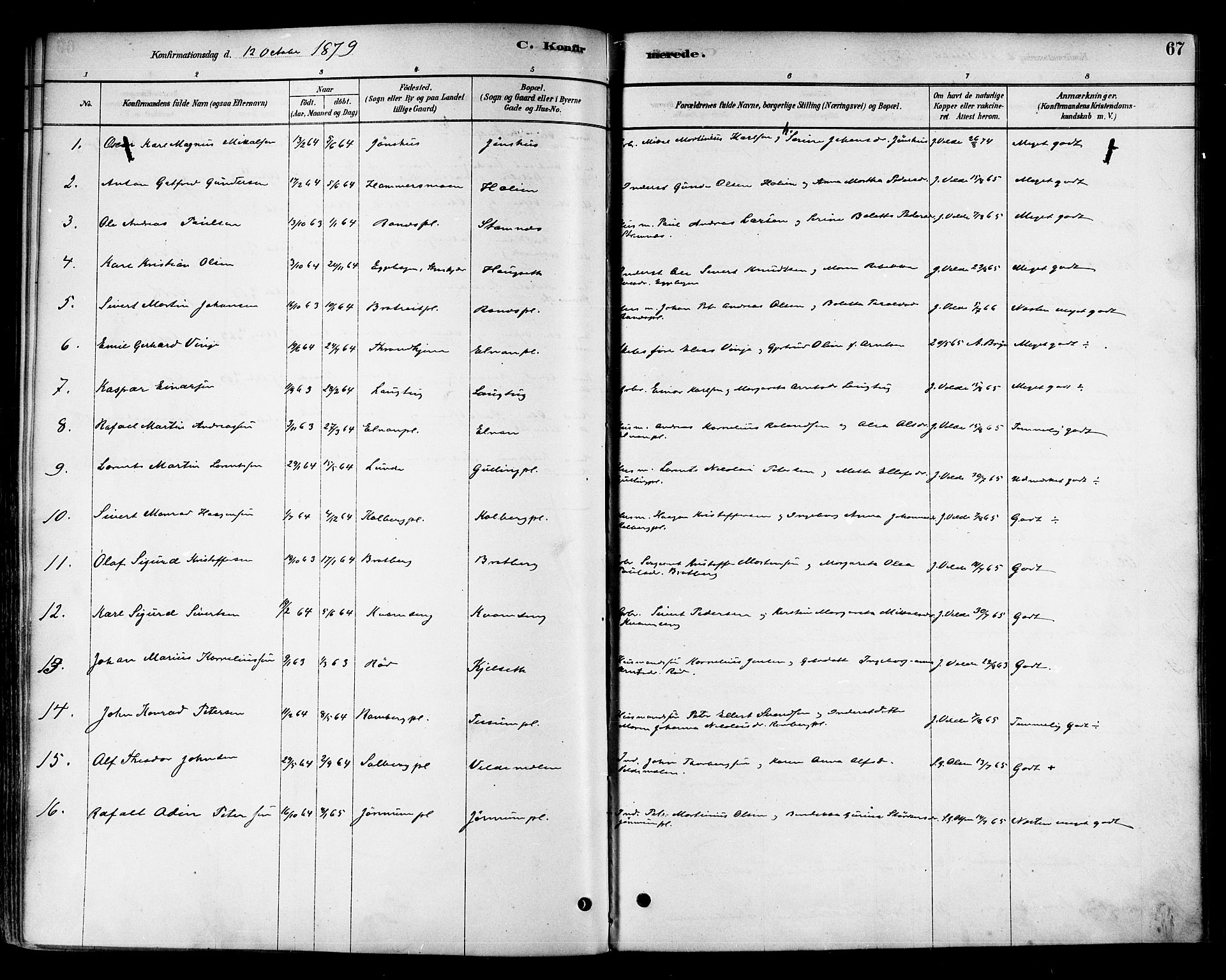 Ministerialprotokoller, klokkerbøker og fødselsregistre - Nord-Trøndelag, SAT/A-1458/741/L0395: Parish register (official) no. 741A09, 1878-1888, p. 67
