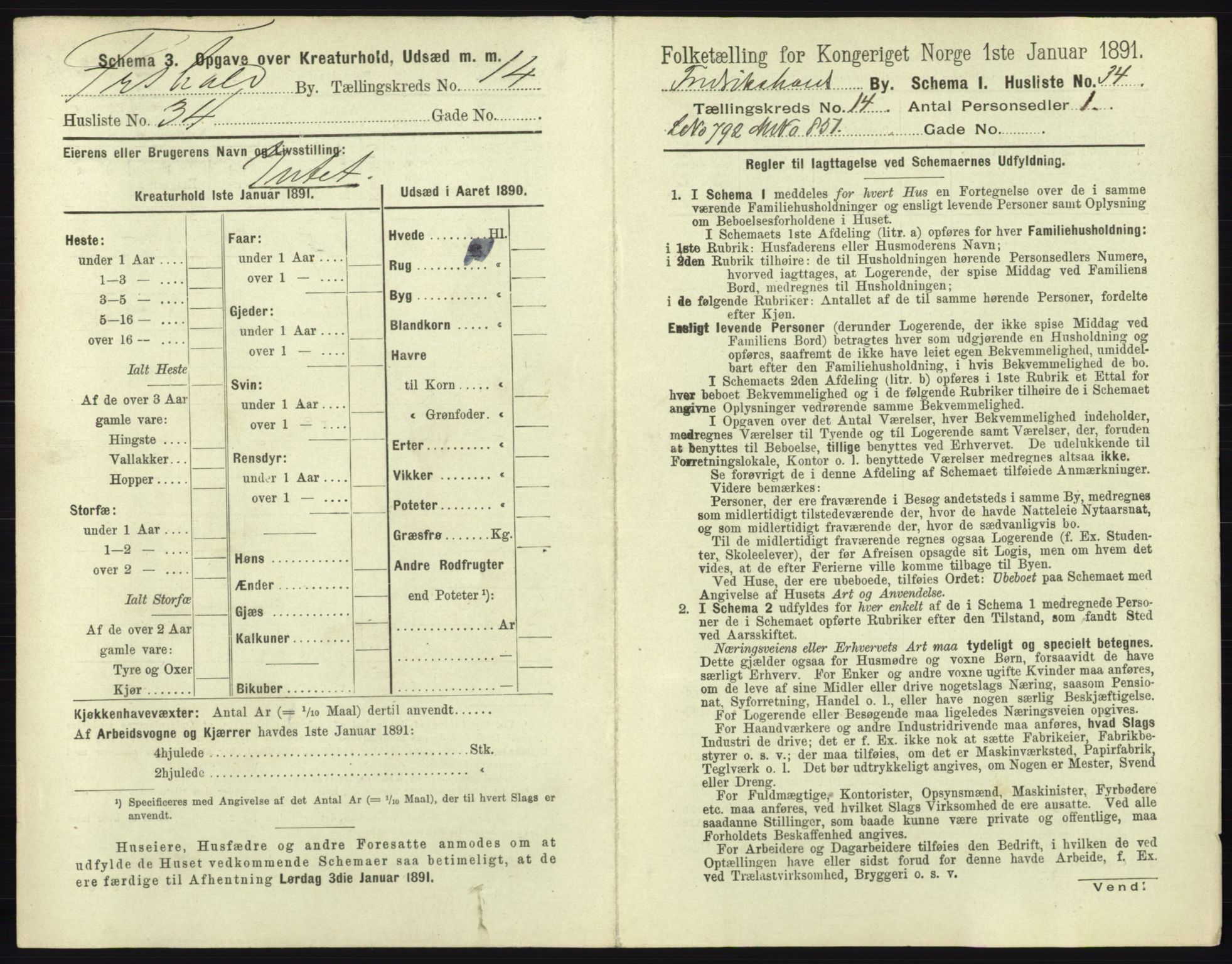 RA, 1891 census for 0101 Fredrikshald, 1891, p. 1310