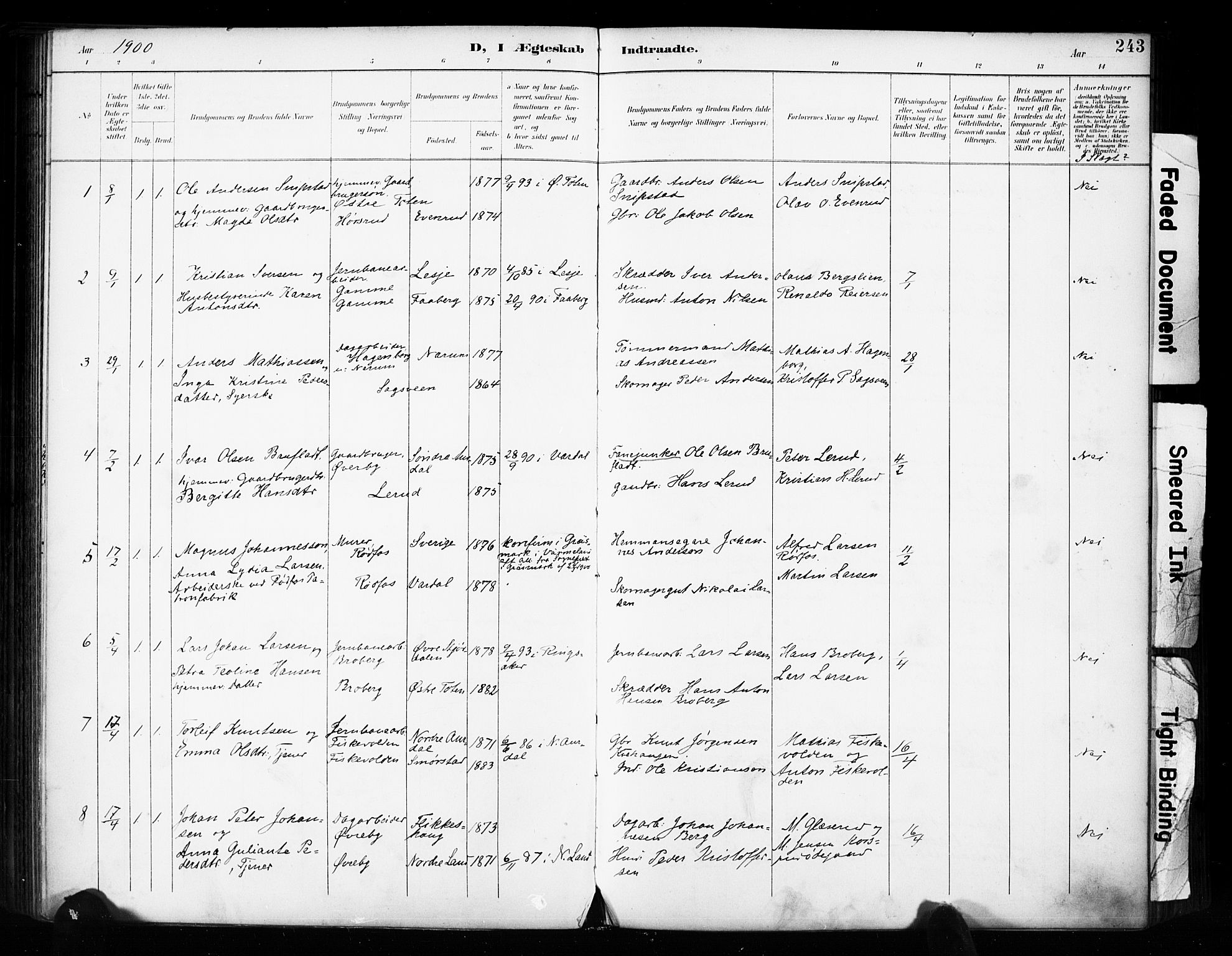 Vestre Toten prestekontor, SAH/PREST-108/H/Ha/Haa/L0011: Parish register (official) no. 11, 1895-1906, p. 243