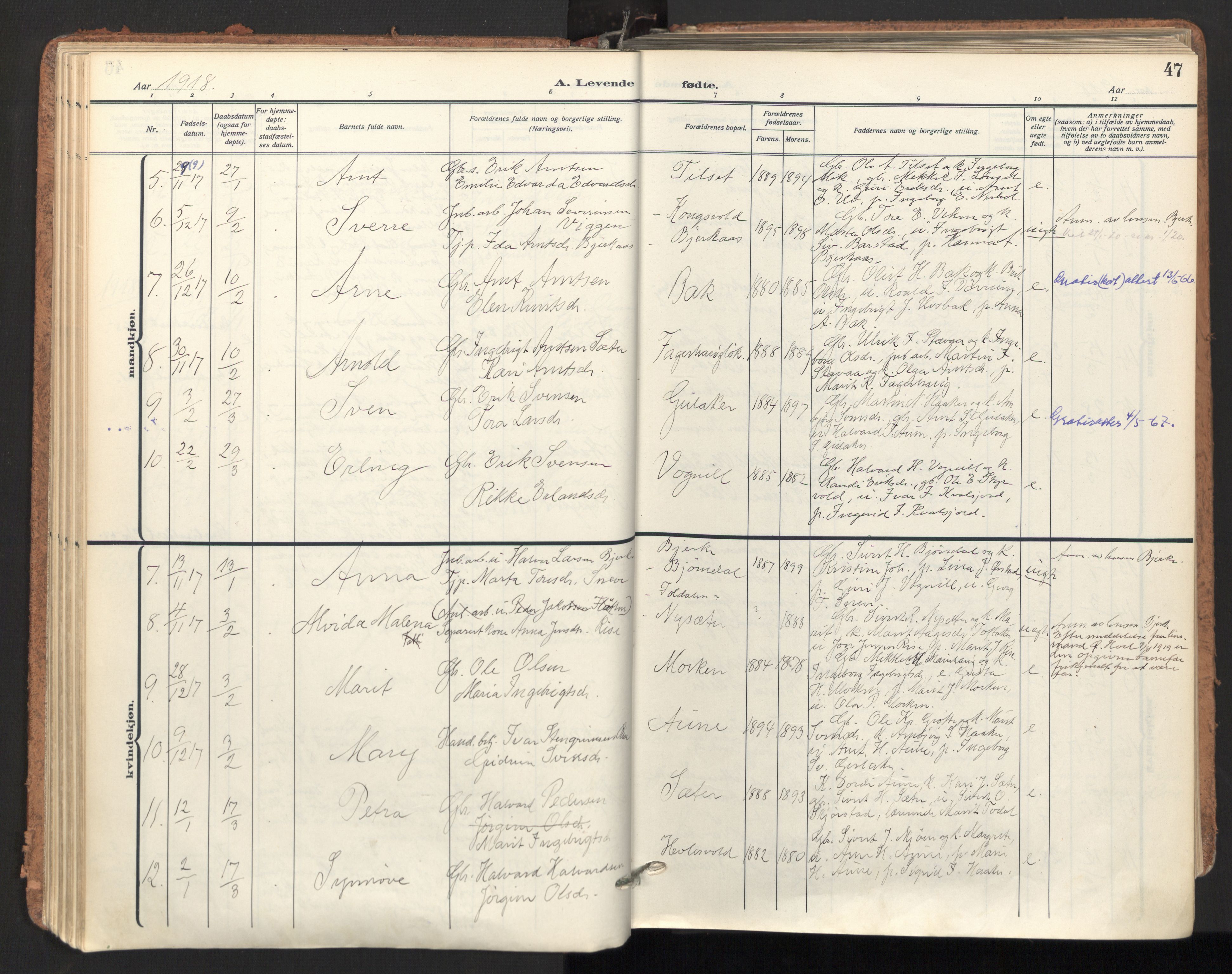 Ministerialprotokoller, klokkerbøker og fødselsregistre - Sør-Trøndelag, SAT/A-1456/678/L0909: Parish register (official) no. 678A17, 1912-1930, p. 47