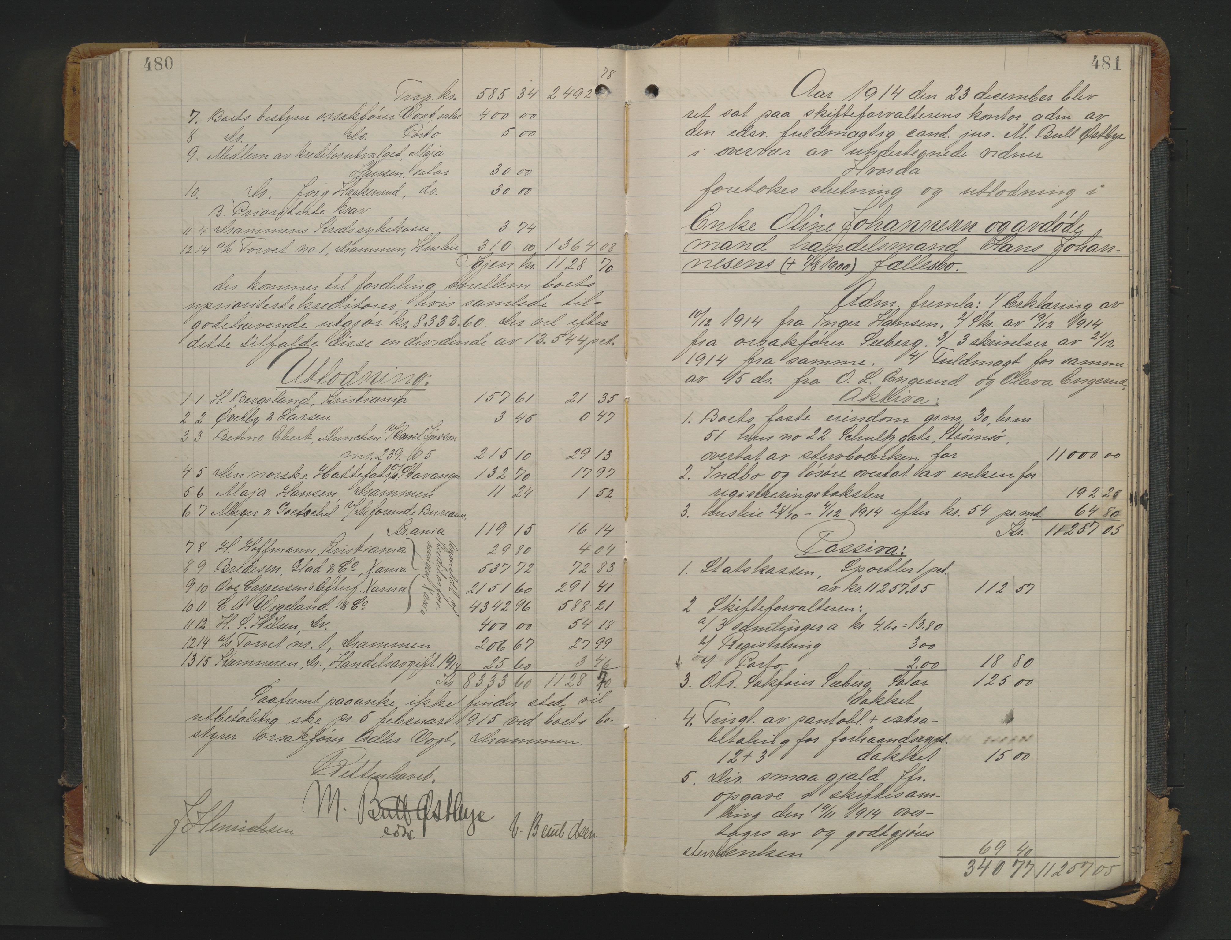 Drammen byfogd, AV/SAKO-A-222/H/Hb/Hbd/Hbda/L0010: Skifteutlodningsprotokoll., 1911-1916, p. 480-481