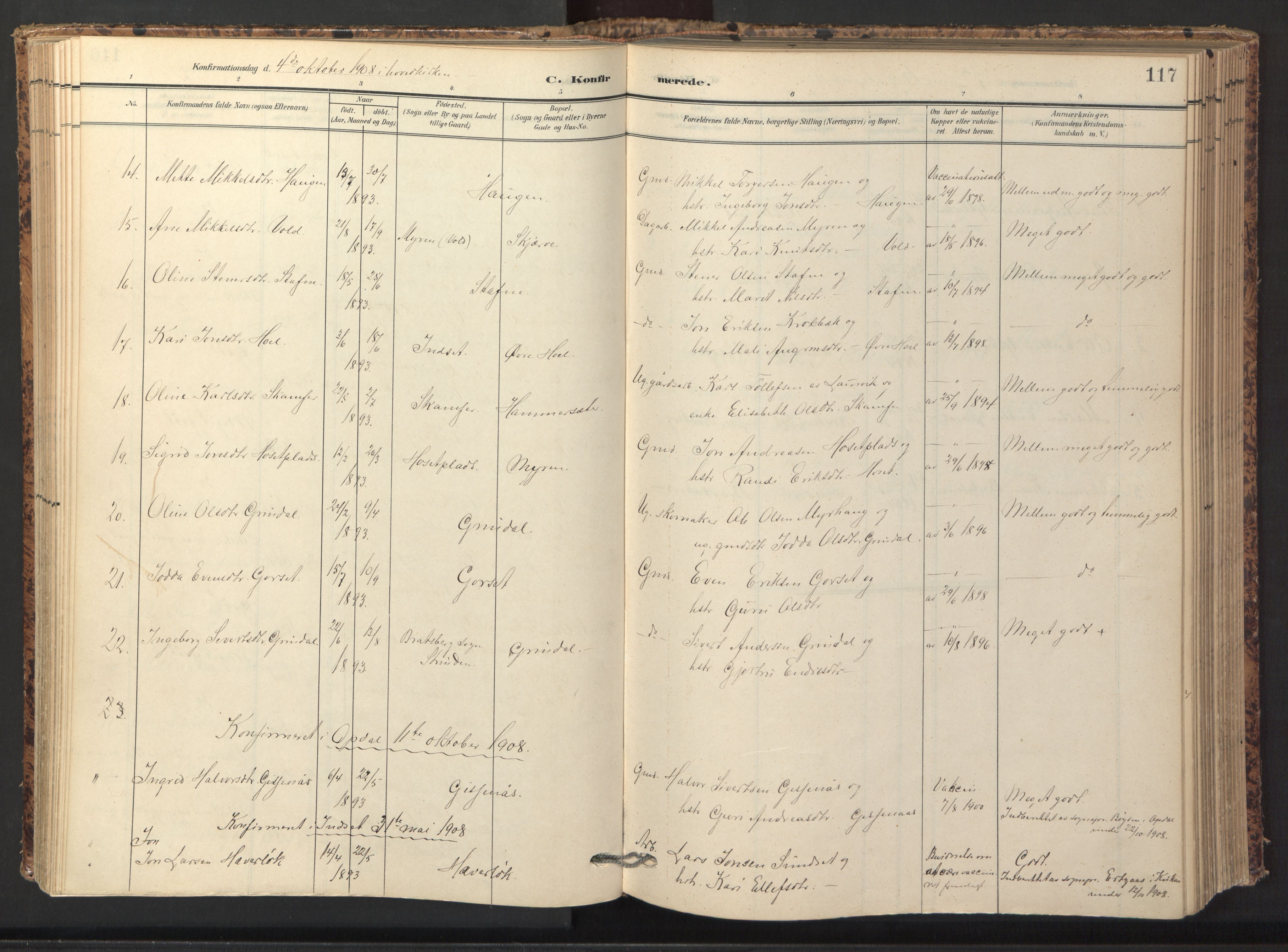 Ministerialprotokoller, klokkerbøker og fødselsregistre - Sør-Trøndelag, SAT/A-1456/674/L0873: Parish register (official) no. 674A05, 1908-1923, p. 117