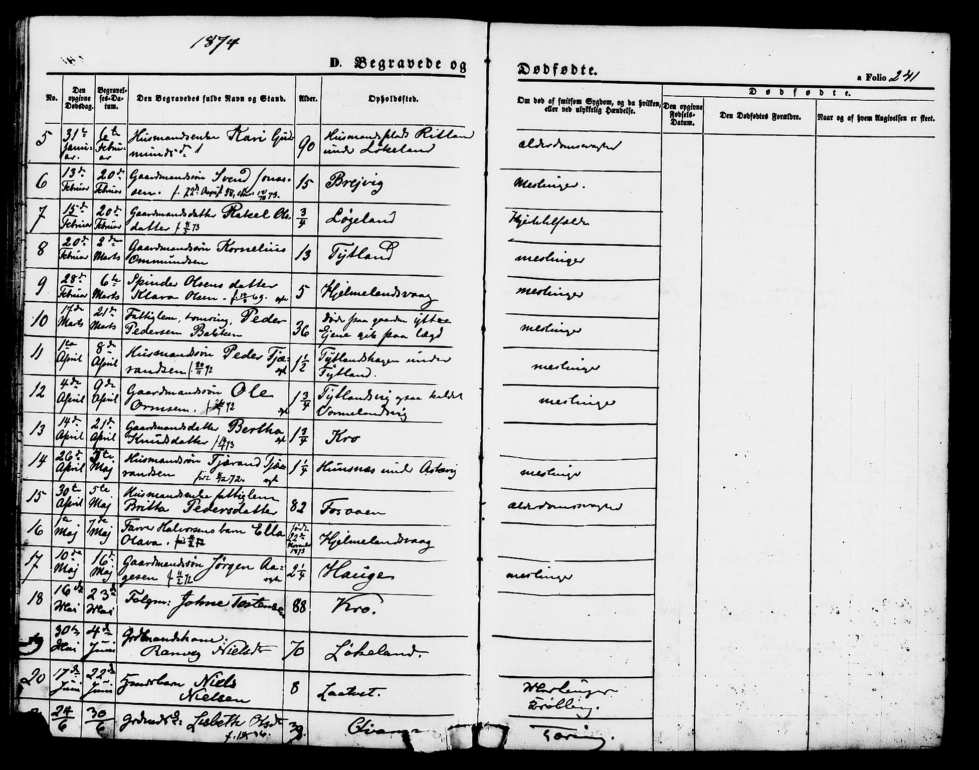 Hjelmeland sokneprestkontor, AV/SAST-A-101843/01/IV/L0011: Parish register (official) no. A 11, 1861-1878, p. 241