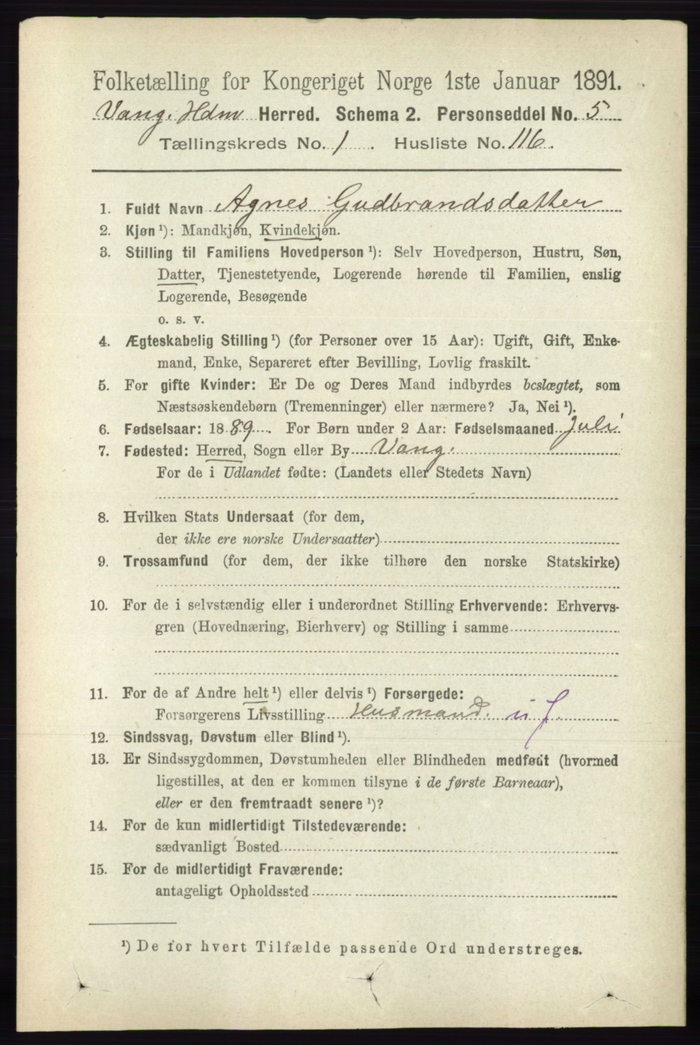 RA, 1891 census for 0414 Vang, 1891, p. 919