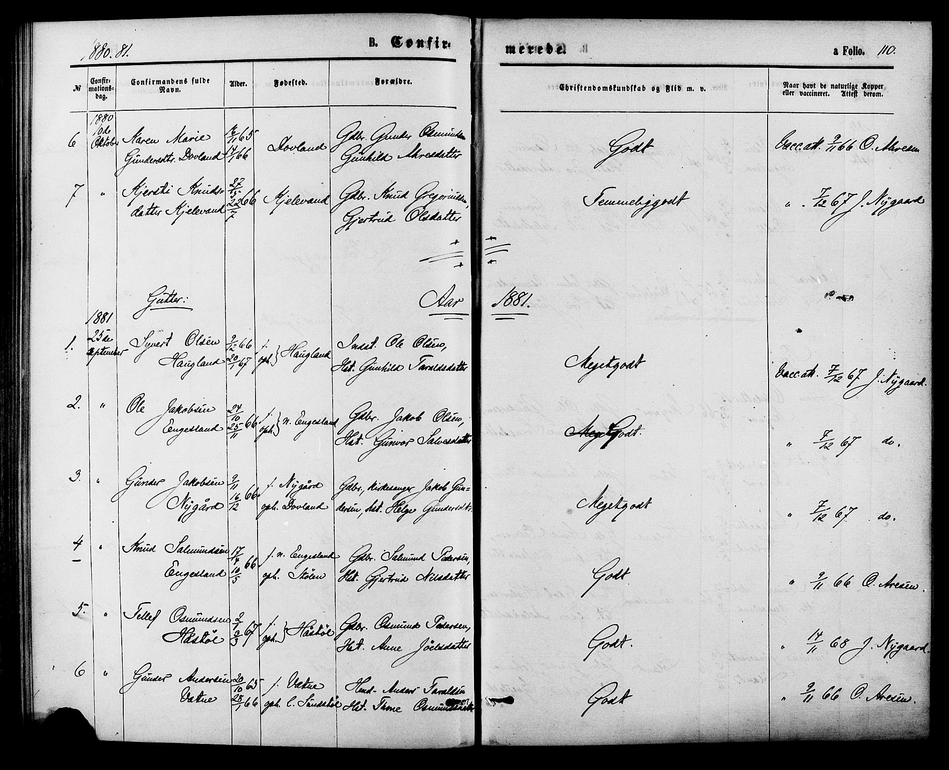 Herefoss sokneprestkontor, AV/SAK-1111-0019/F/Fa/Fab/L0003: Parish register (official) no. A 3, 1875-1886, p. 110