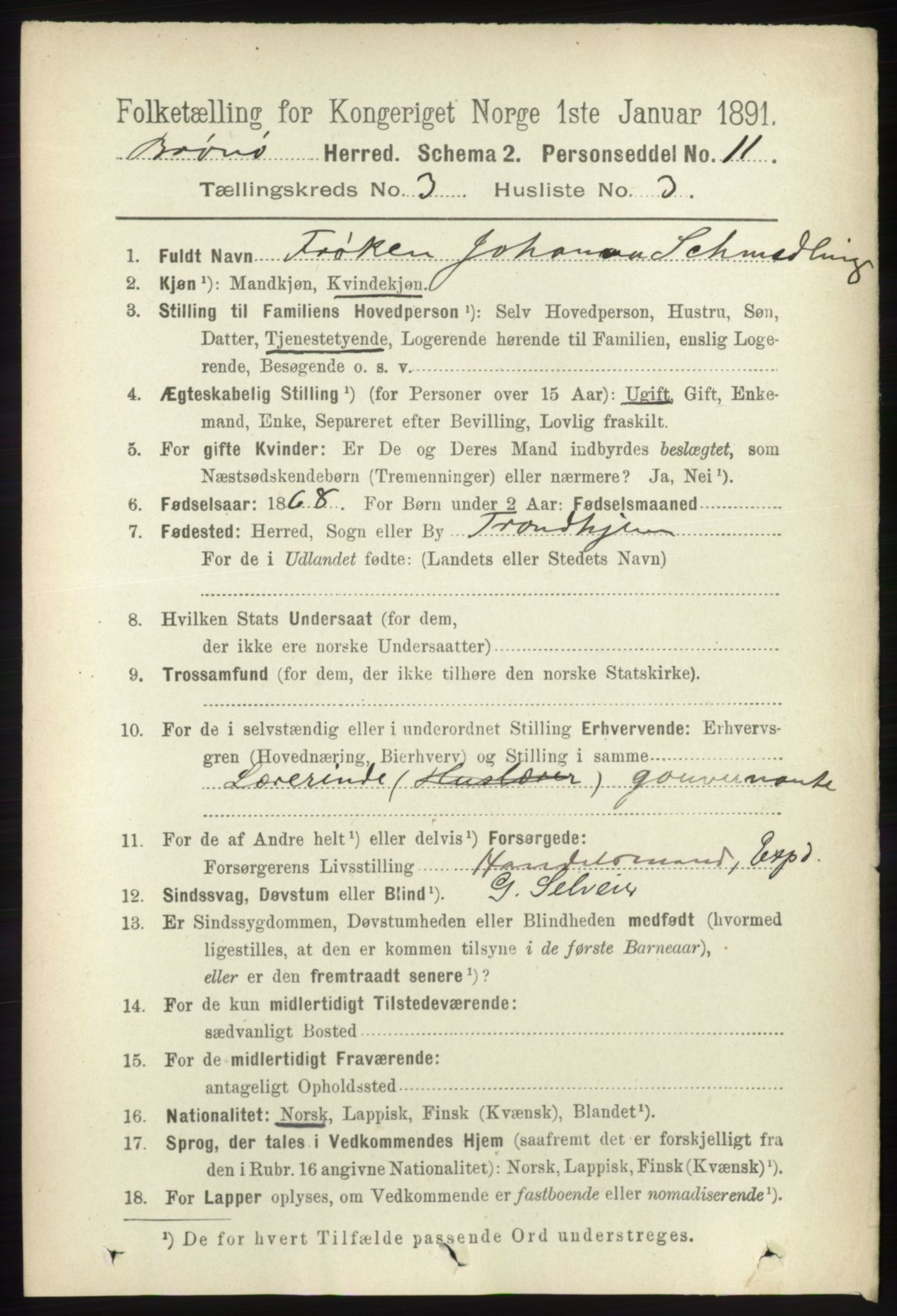 RA, 1891 census for 1814 Brønnøy, 1891, p. 1309