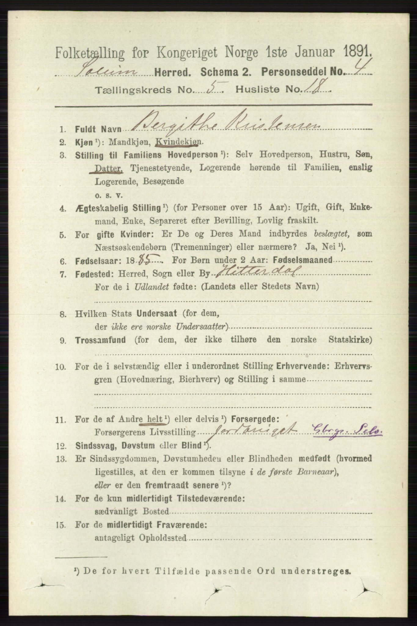 RA, 1891 census for 0818 Solum, 1891, p. 944